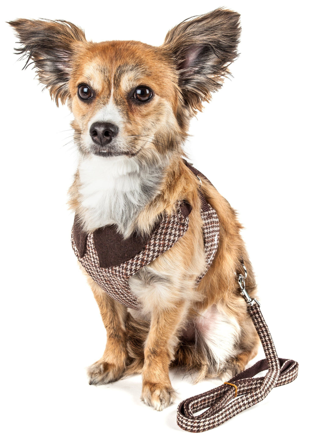 Luxe Houndsome 2-in-1 Adjustable Designer Dog Harness and Leash
