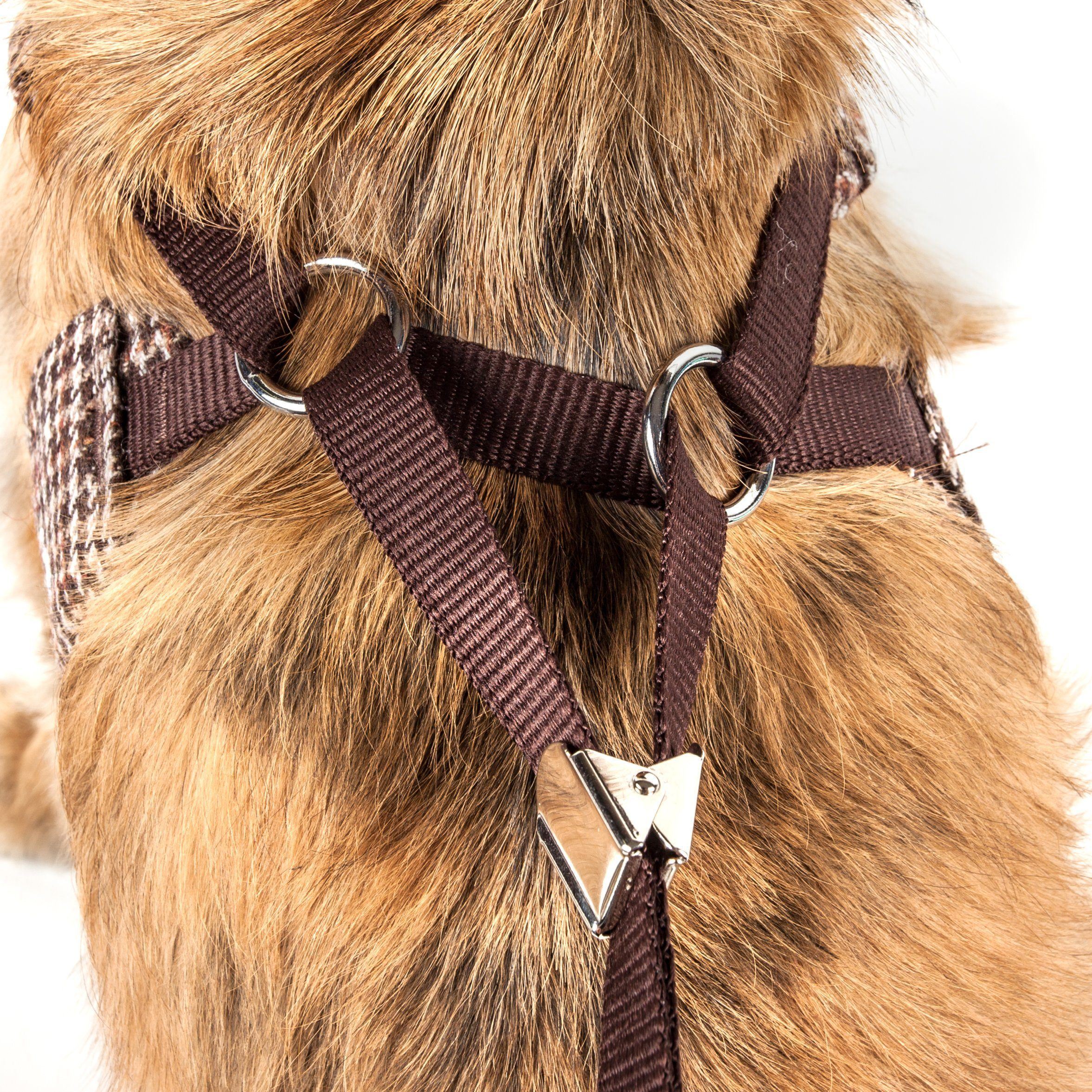 Luxe Houndsome 2-in-1 Adjustable Designer Dog Harness and Leash