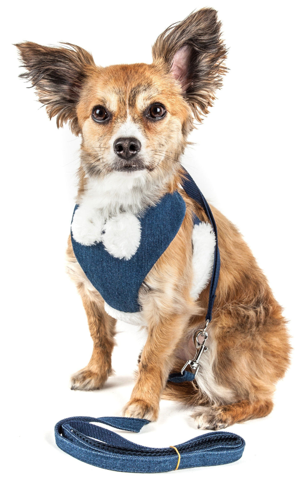 Luxe Pom Draper 2-in-1 Adjustable Fashion Dog Harness and Leash