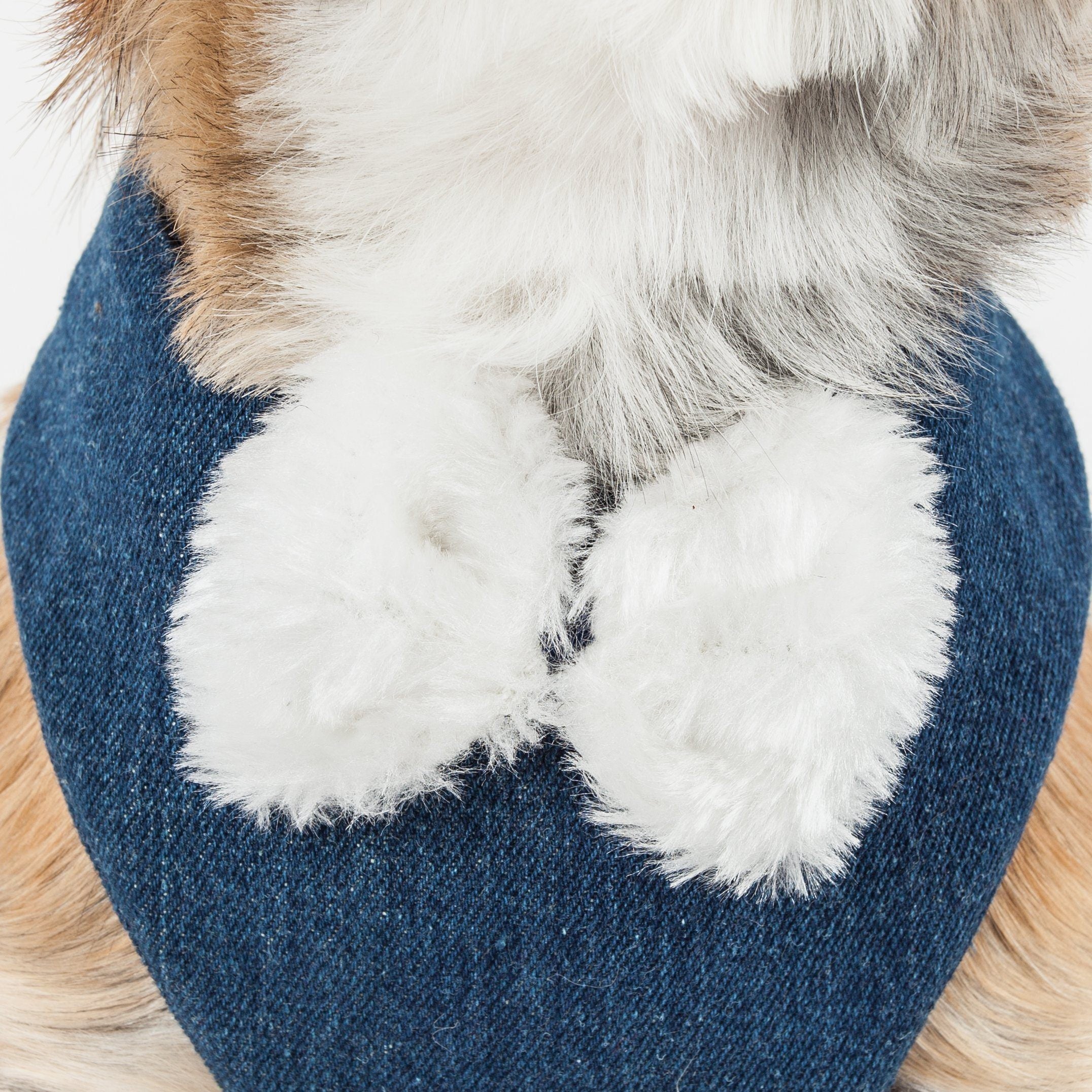 Luxe Pom Draper 2-in-1 Adjustable Fashion Dog Harness and Leash