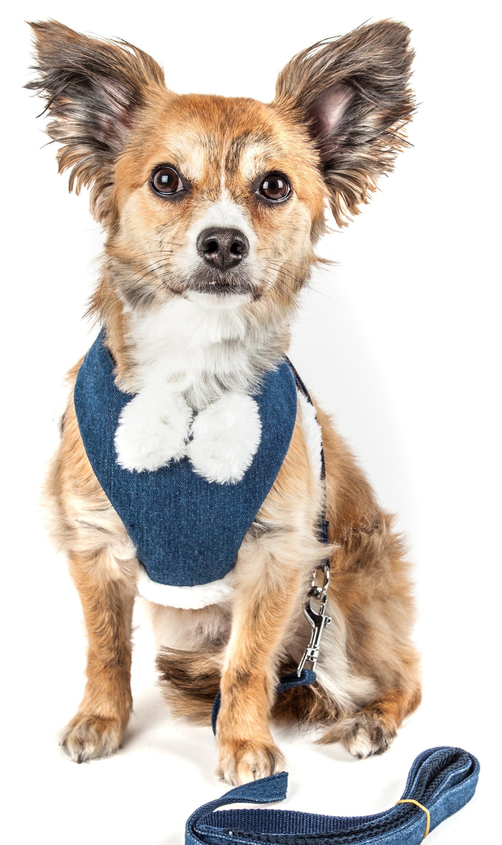 Luxe Pom Draper 2-in-1 Adjustable Fashion Dog Harness and Leash
