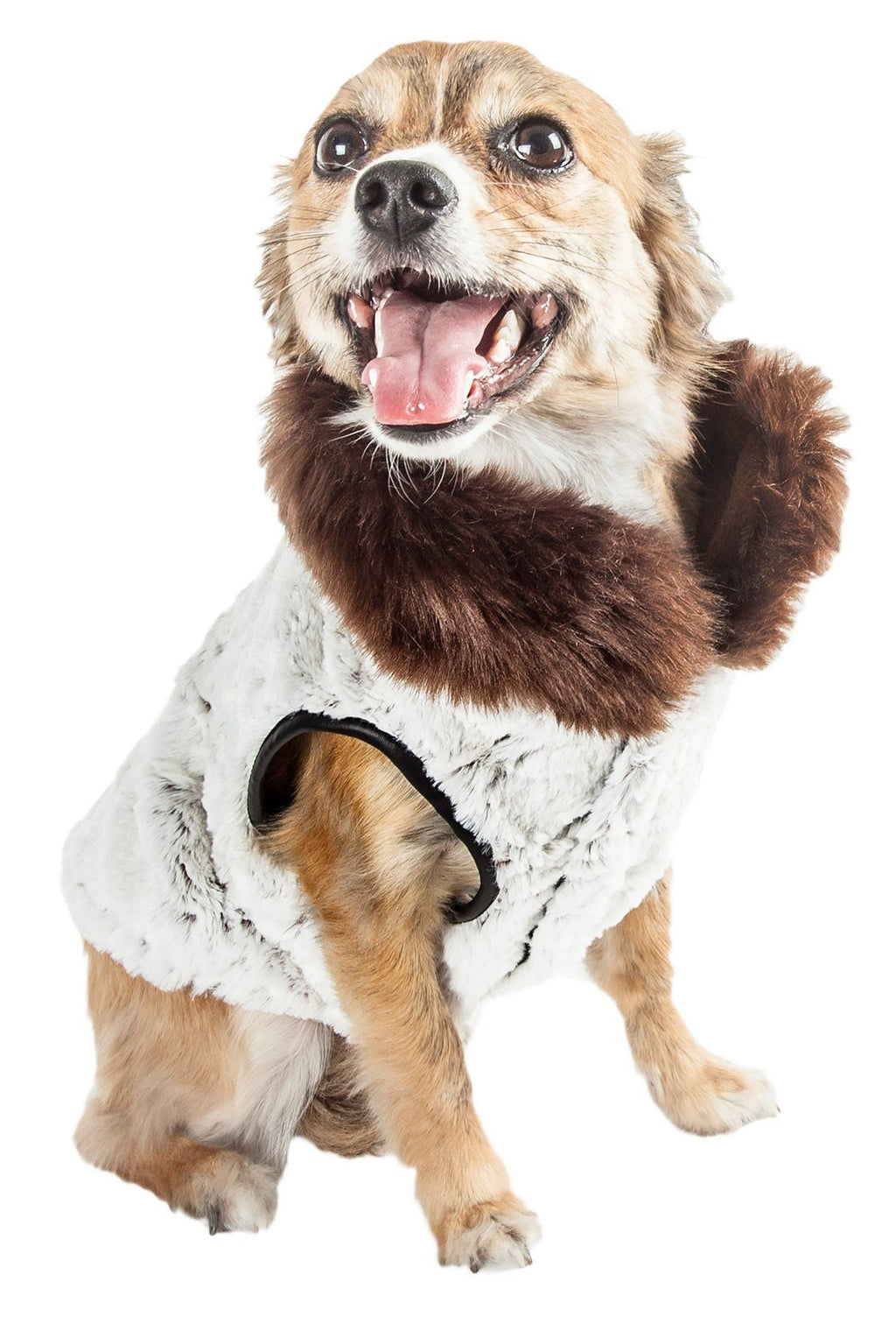 Luxe Purrlage Pelage Designer Fashion Fur Dog Coat