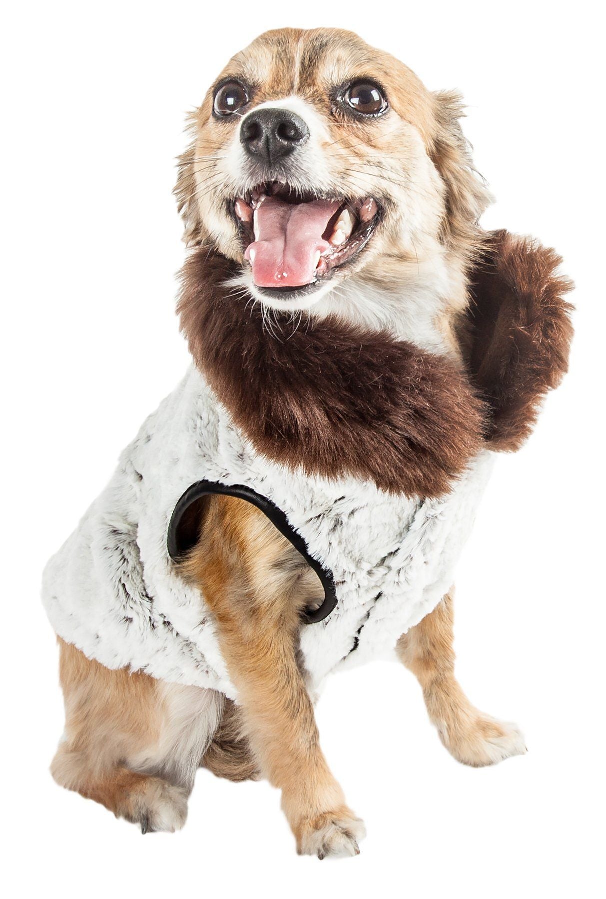 Luxe Purrlage Pelage Designer Fashion Fur Dog Coat
