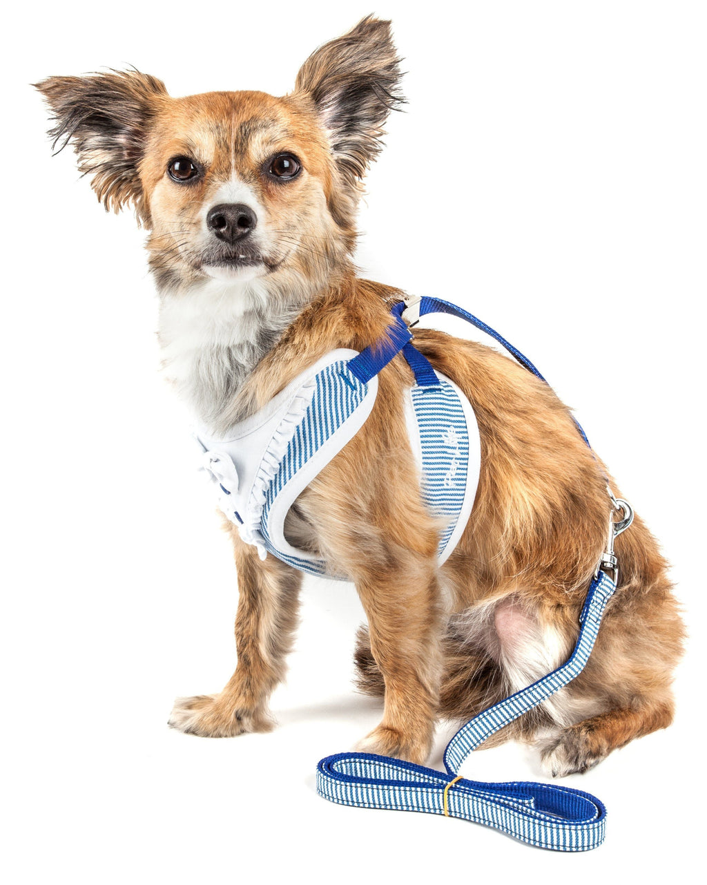 Luxe Spawling 2-in-1 Adjustable Fashion Dog Harness and Leash