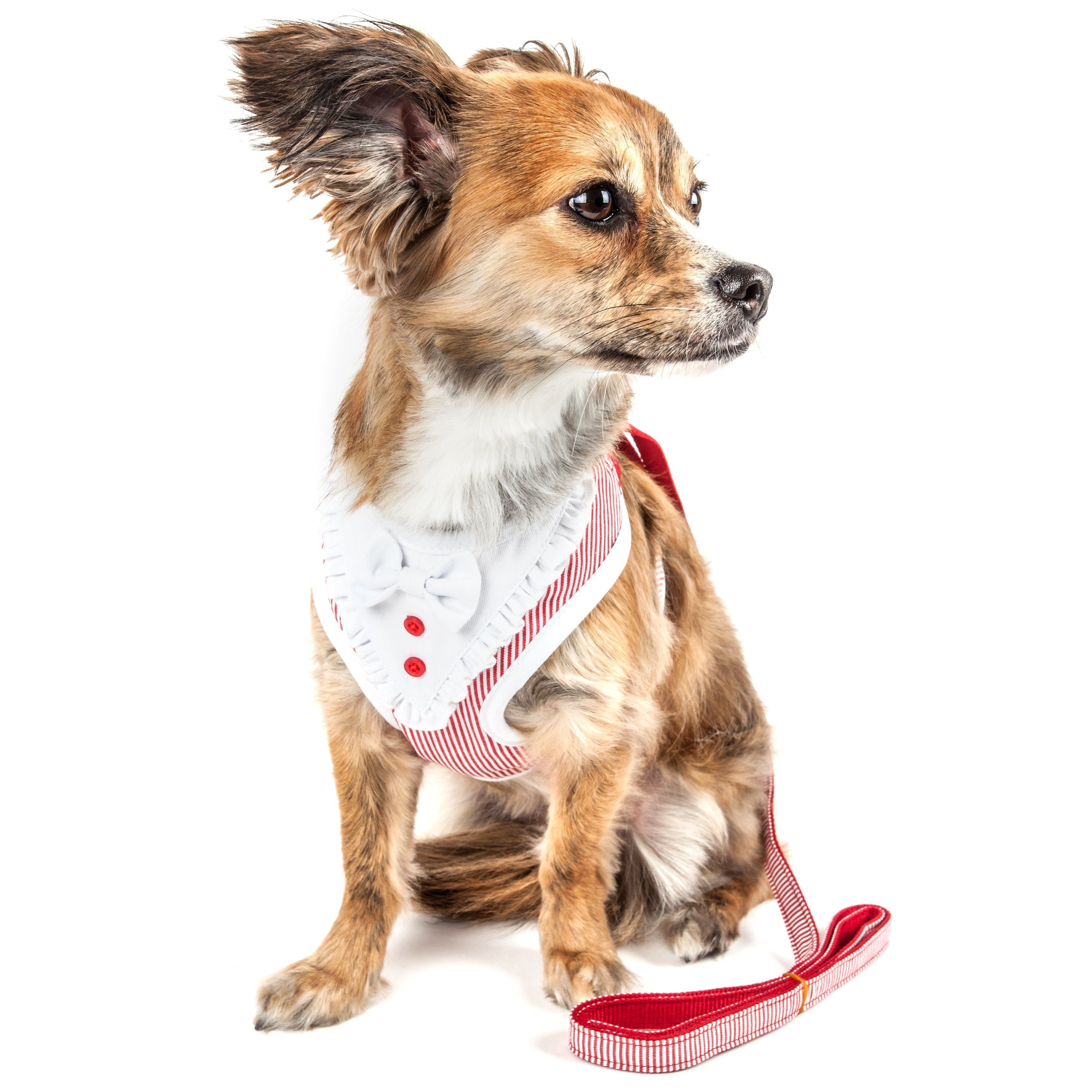 Luxe Spawling 2-in-1 Adjustable Fashion Dog Harness and Leash