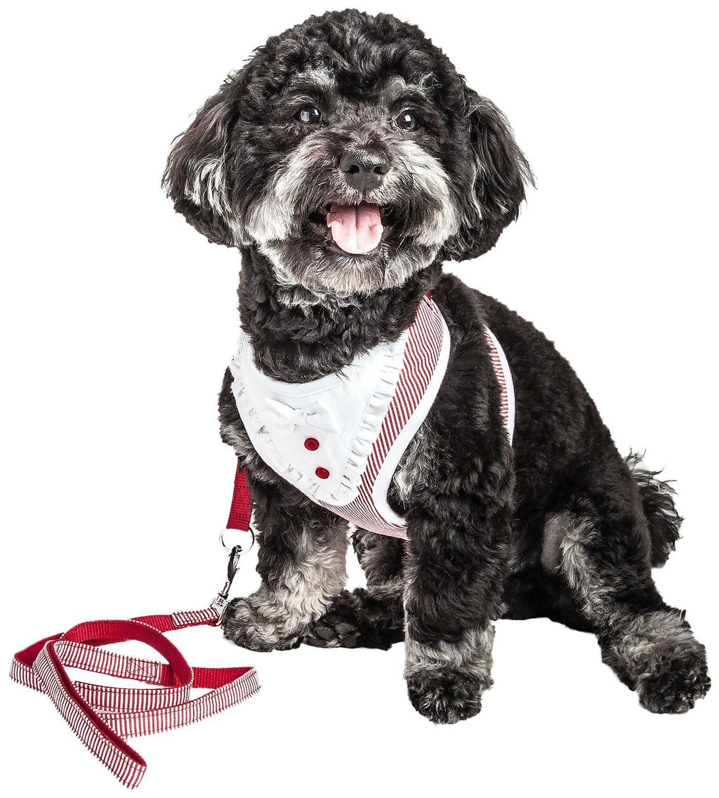 Luxe Spawling 2-in-1 Adjustable Fashion Dog Harness and Leash