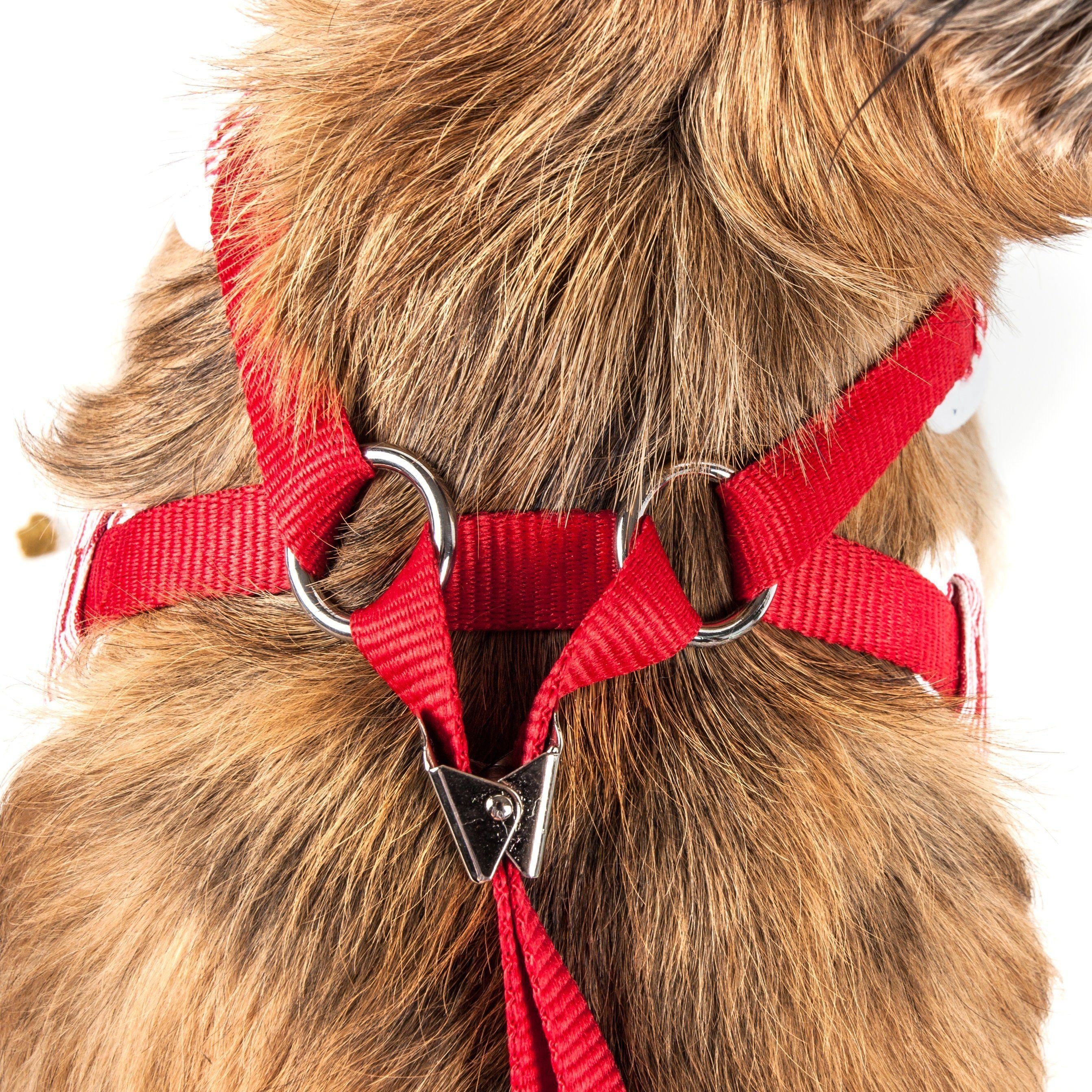 Luxe Spawling 2-in-1 Adjustable Fashion Dog Harness and Leash