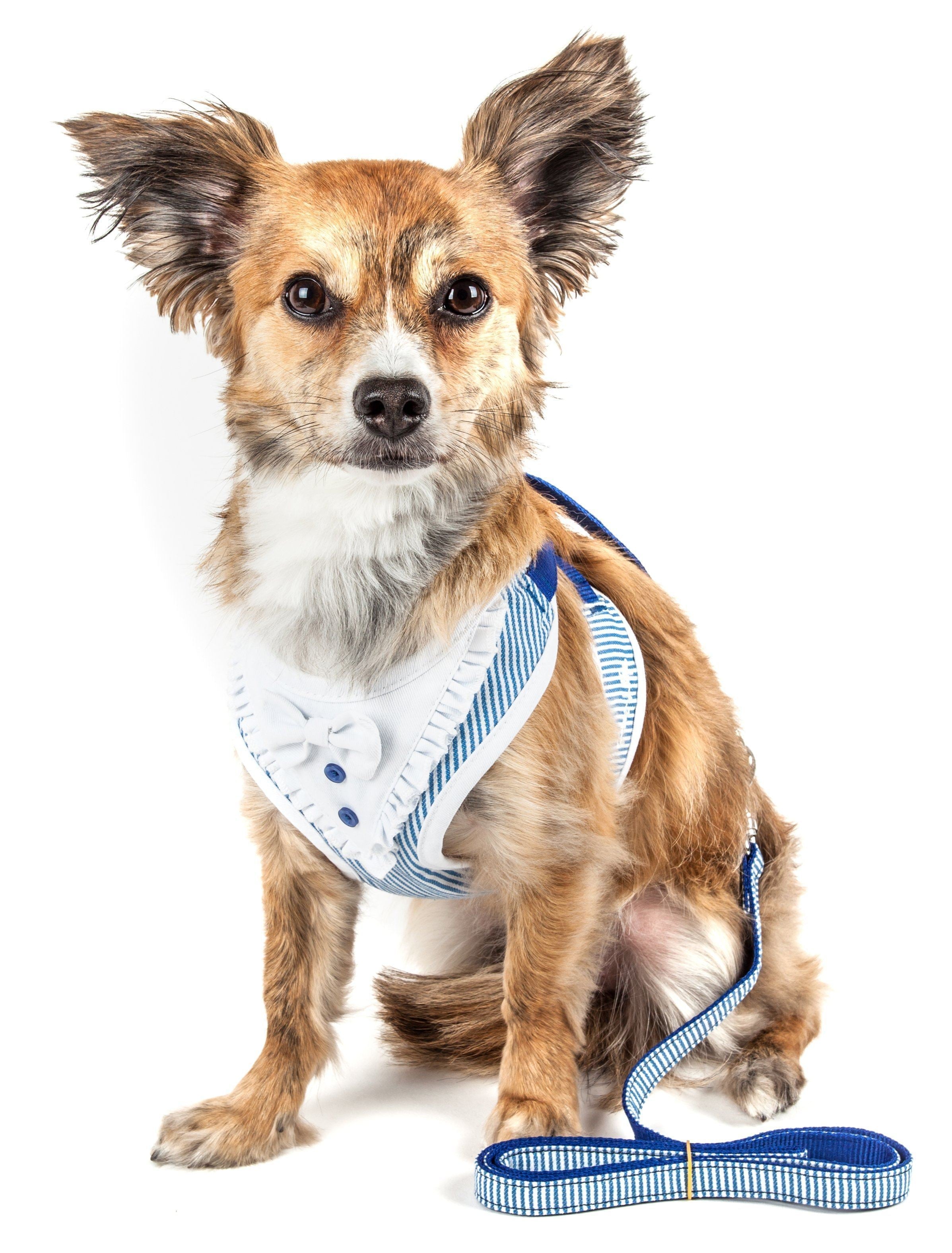 Luxe Spawling 2-in-1 Adjustable Fashion Dog Harness and Leash