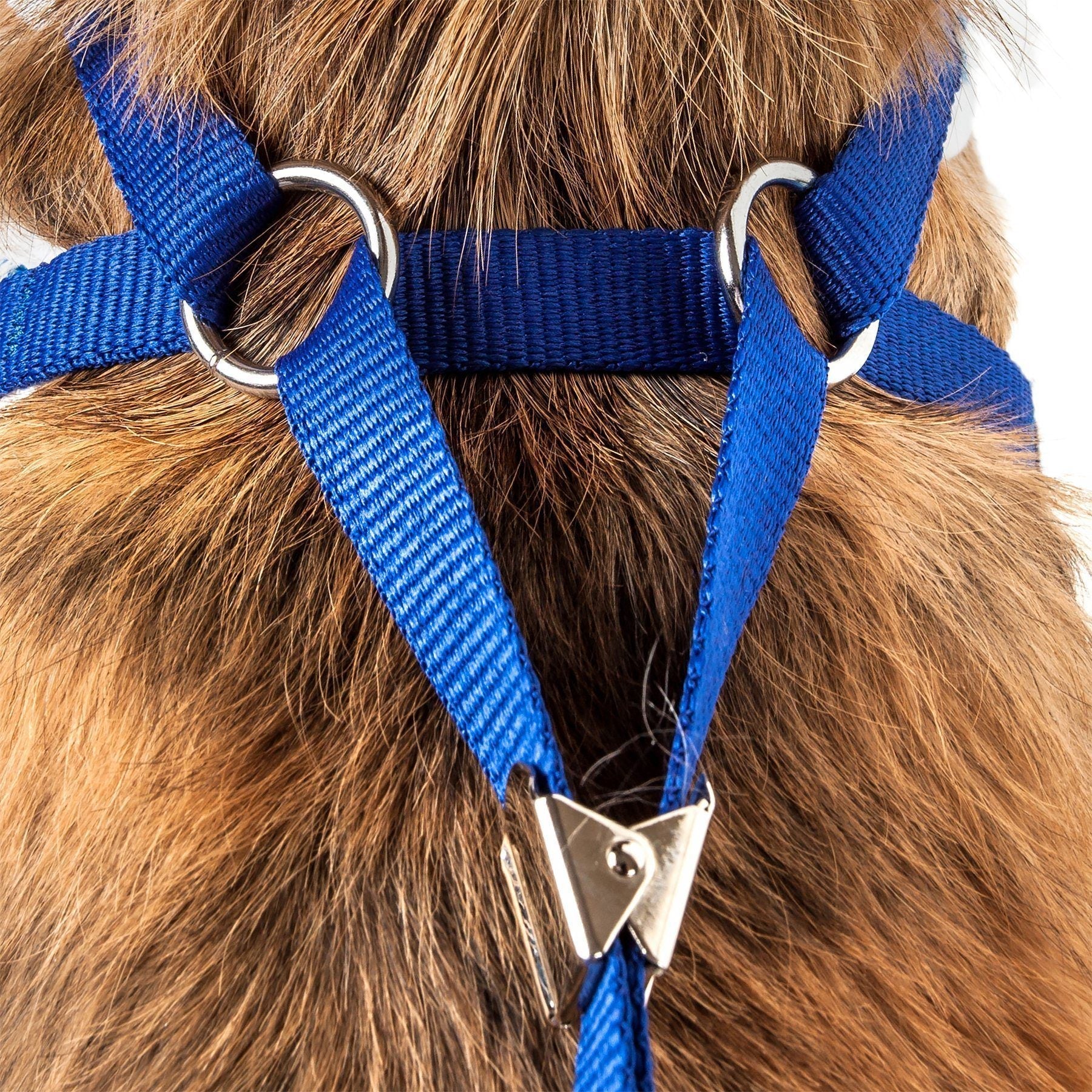 Luxe Spawling 2-in-1 Adjustable Fashion Dog Harness and Leash