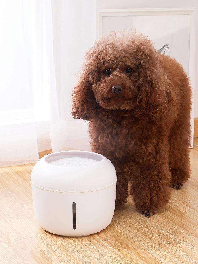 Moda-Pure Ultra-Quiet Filtered Dog and Cat Fountain Waterer