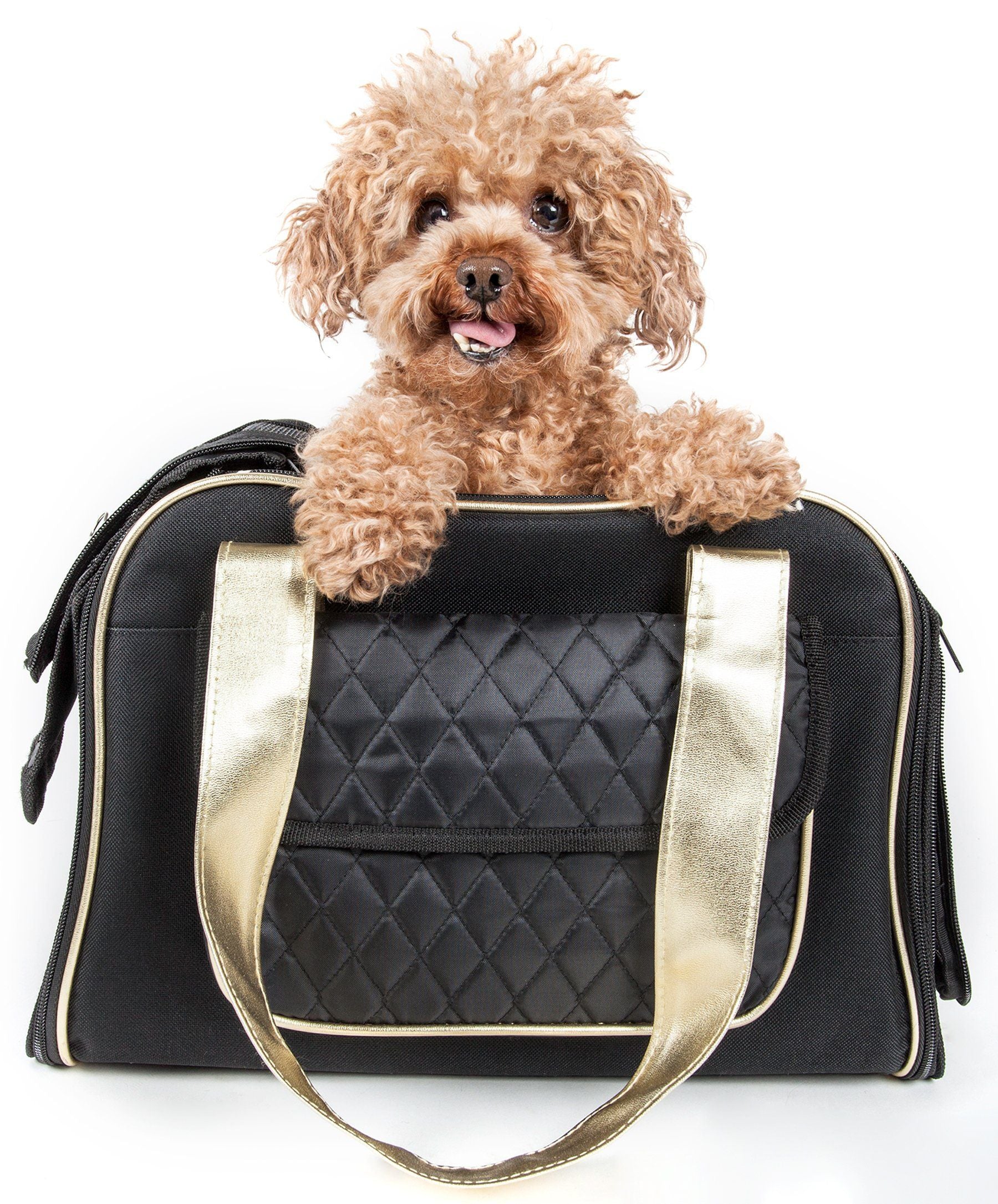 Mystique Airline Approved Fashion Designer Travel Pet Dog Carrier with Pouch