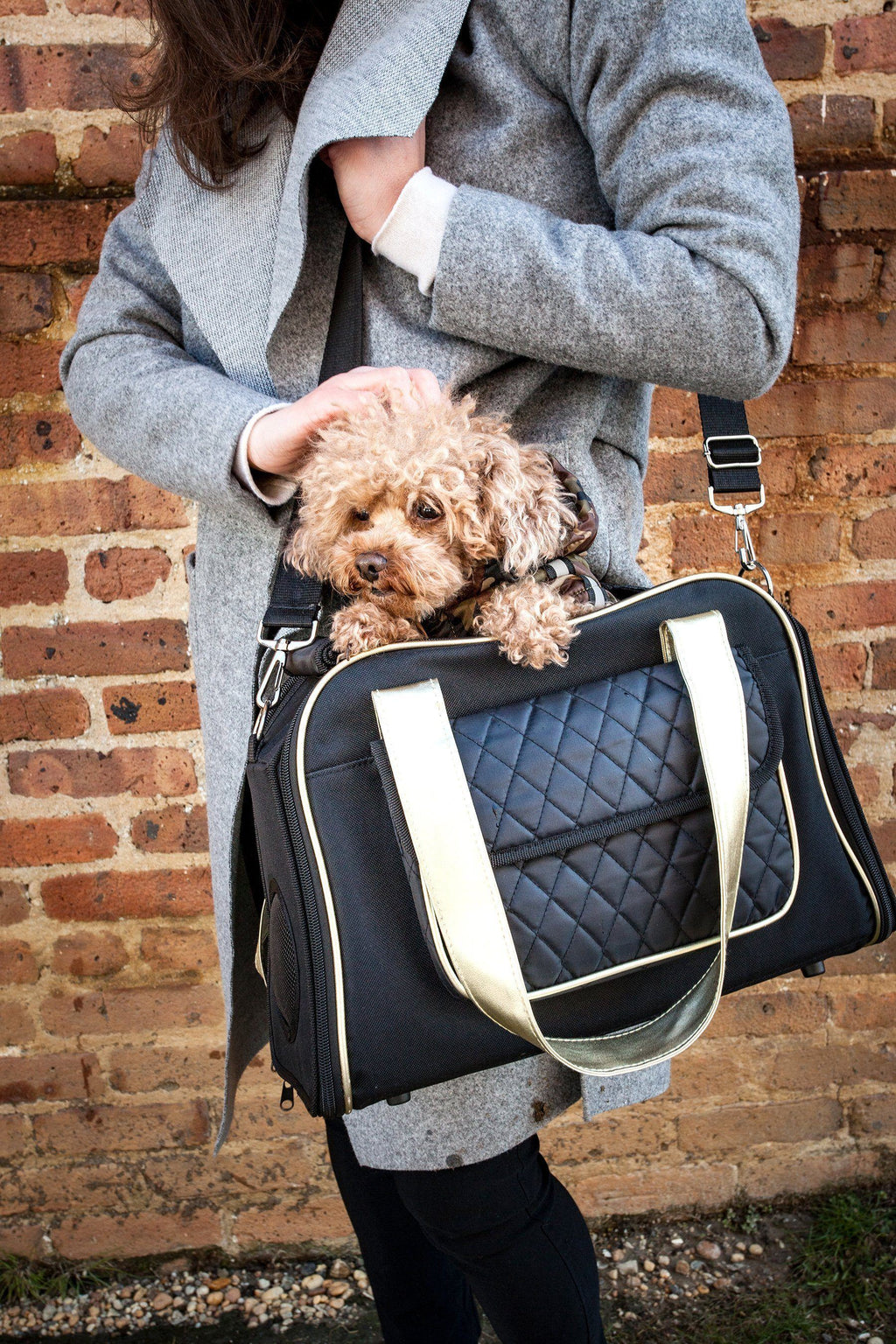Mystique Airline Approved Fashion Designer Travel Pet Dog Carrier with Pouch