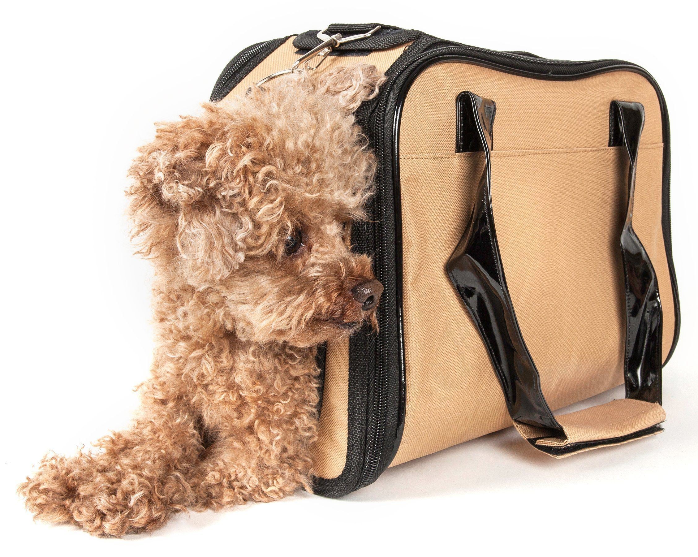 Mystique Airline Approved Fashion Designer Travel Pet Dog Carrier with Pouch