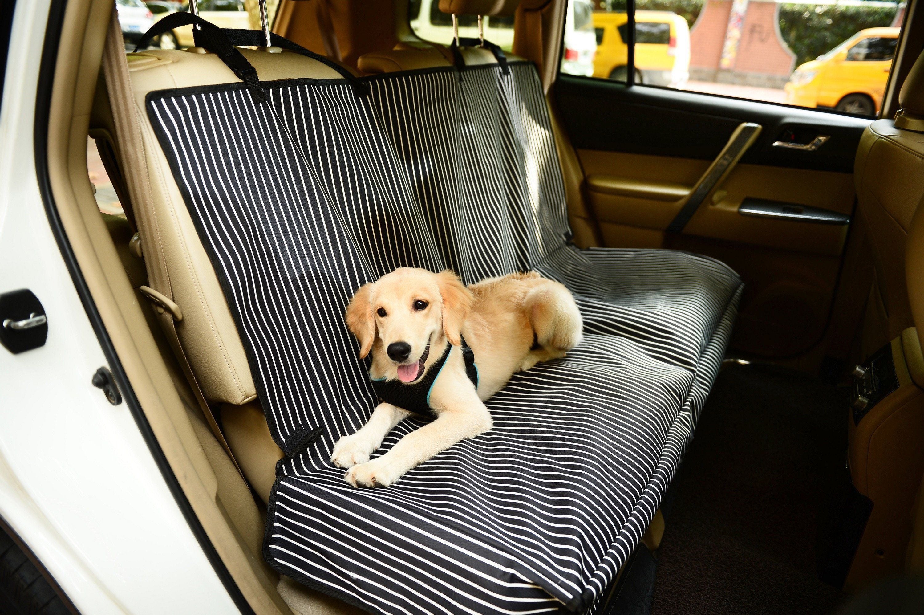 Open Road Full Back Seat Safety Dog and Cat Car Seat Cover Protector
