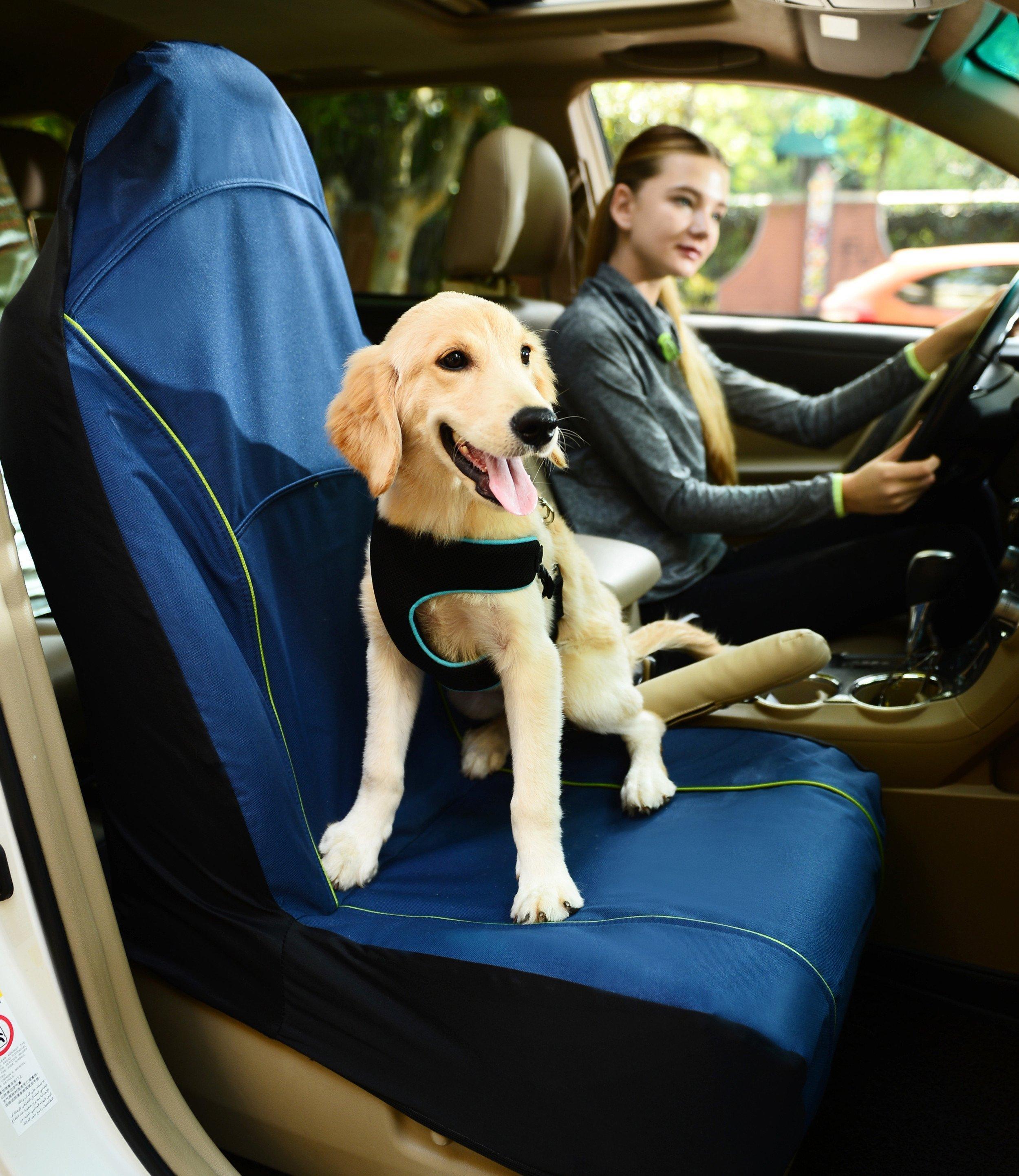 Open Road Single Seated Safety Dog and Cat Car Seat Cover Protector