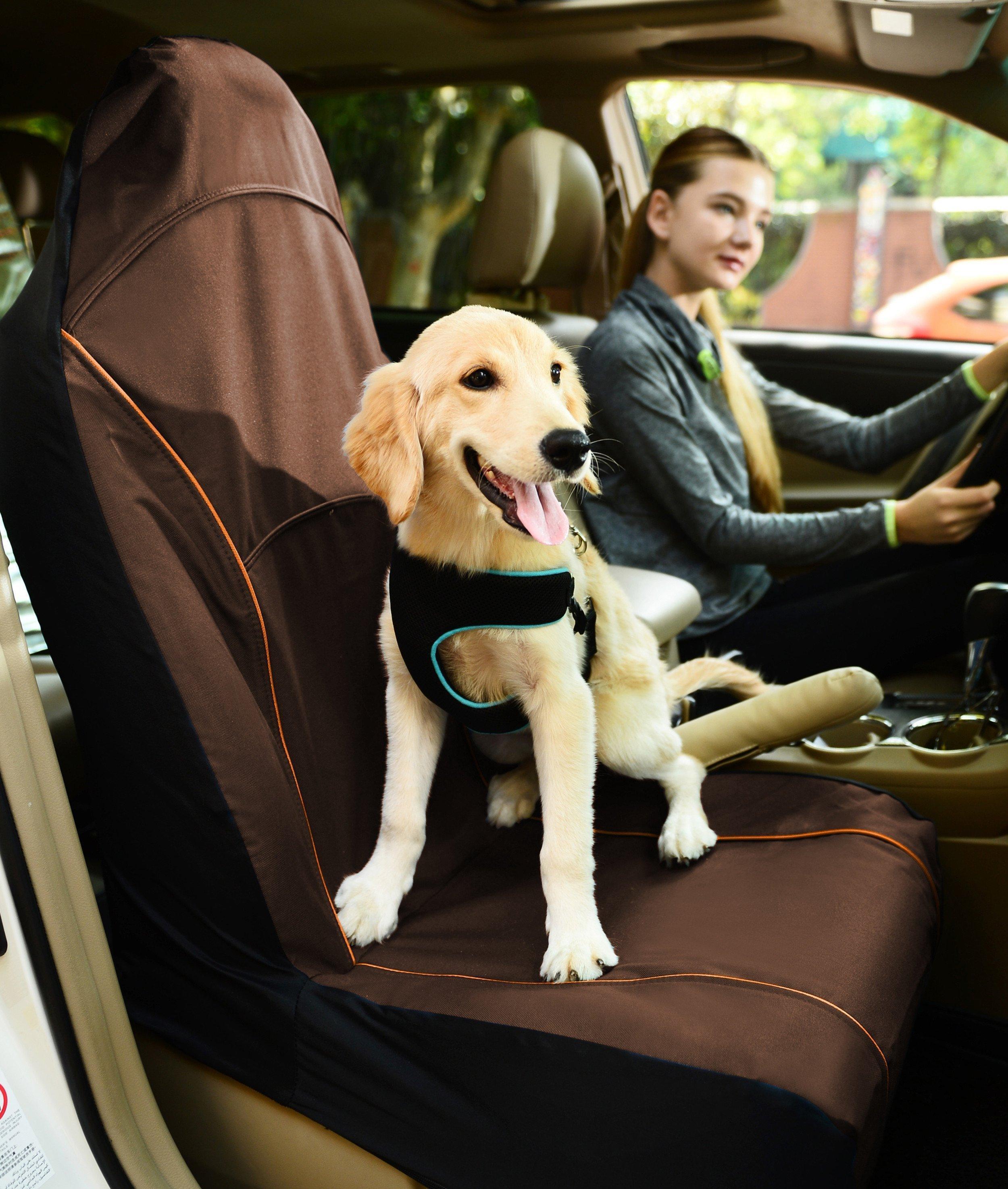 Open Road Single Seated Safety Dog and Cat Car Seat Cover Protector