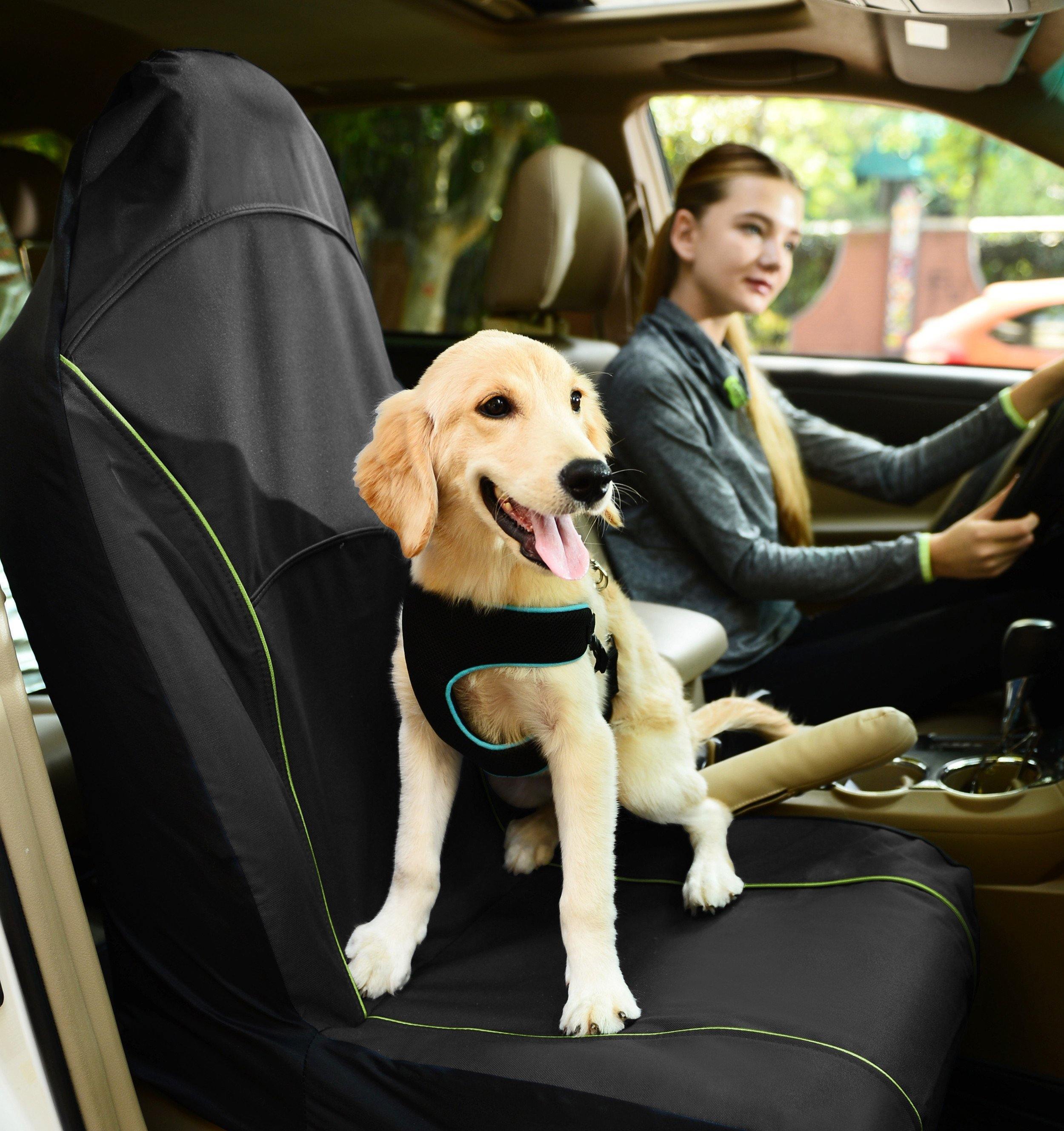 Open Road Single Seated Safety Dog and Cat Car Seat Cover Protector