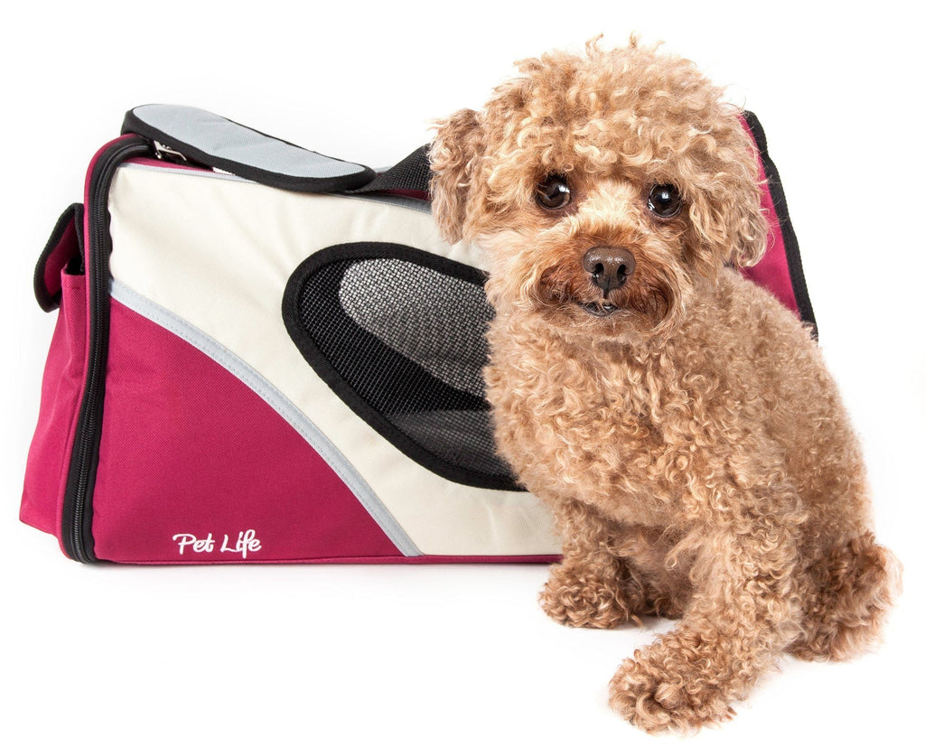 Phenom-Air Airline Approved Collapsible Fashion Designer Pet Dog Carrier
