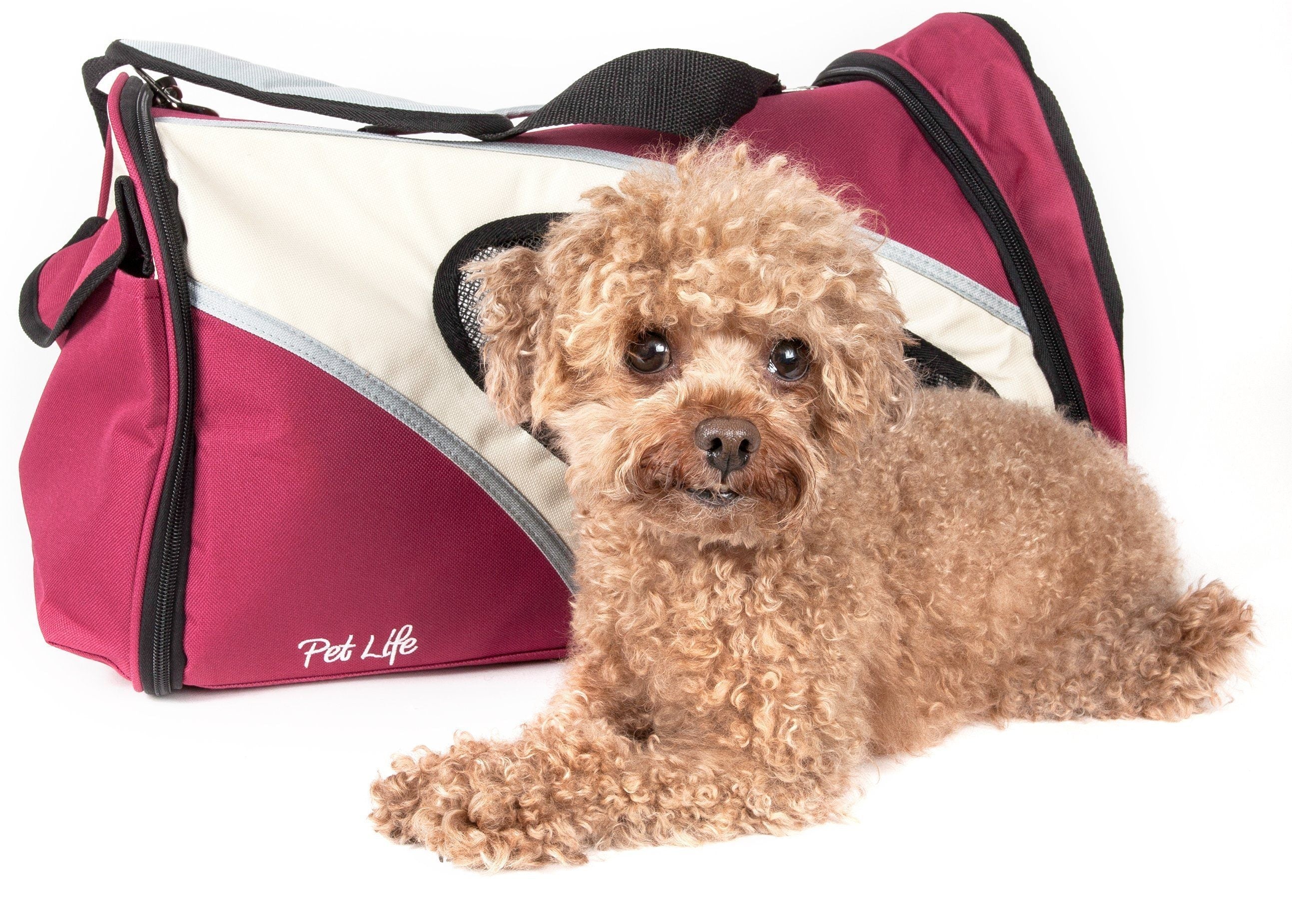 Phenom-Air Airline Approved Collapsible Fashion Designer Pet Dog Carrier