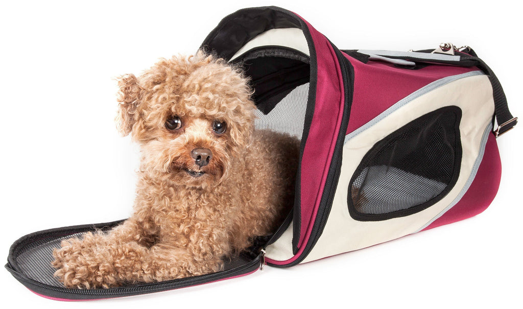Phenom-Air Airline Approved Collapsible Fashion Designer Pet Dog Carrier