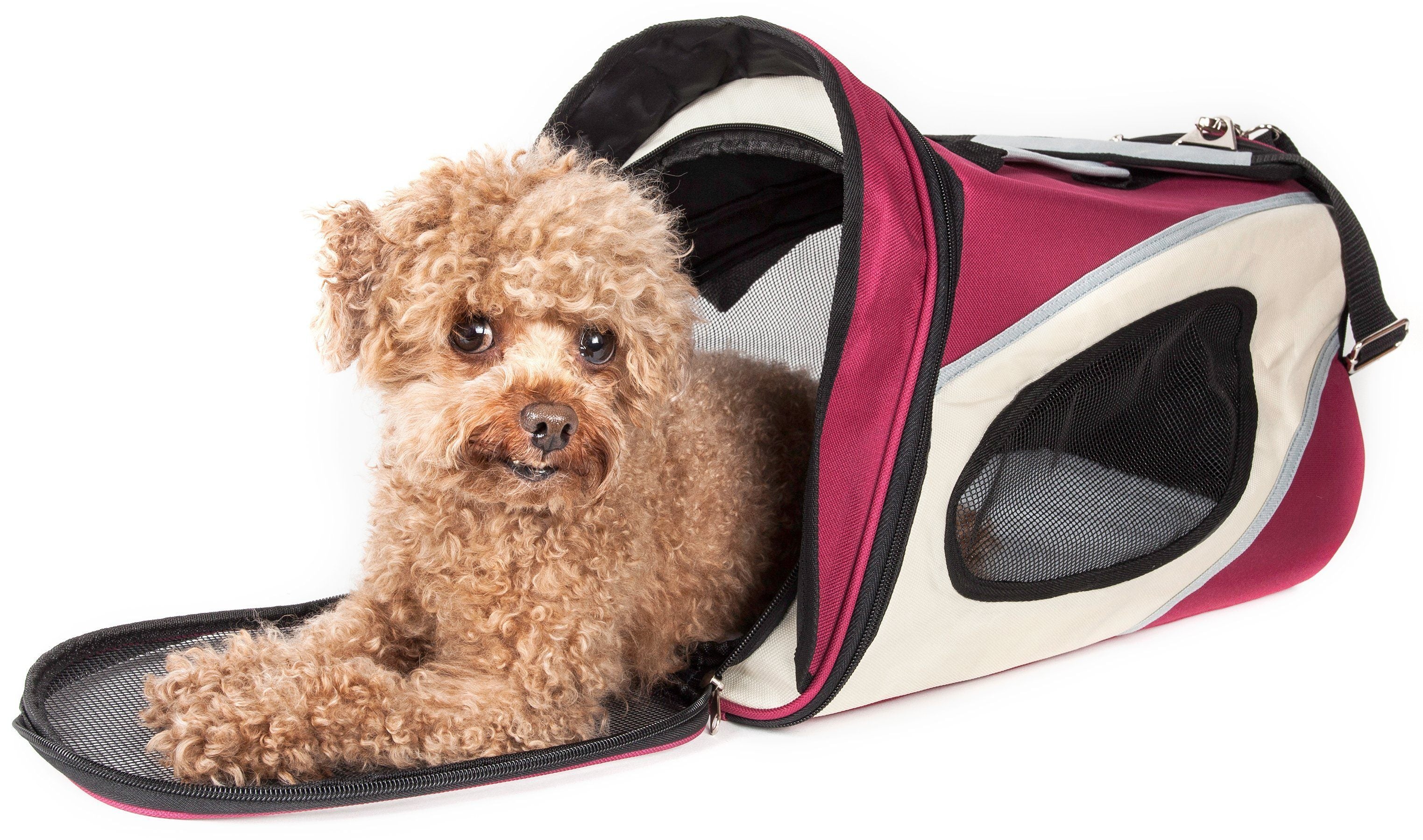 Phenom-Air Airline Approved Collapsible Fashion Designer Pet Dog Carrier