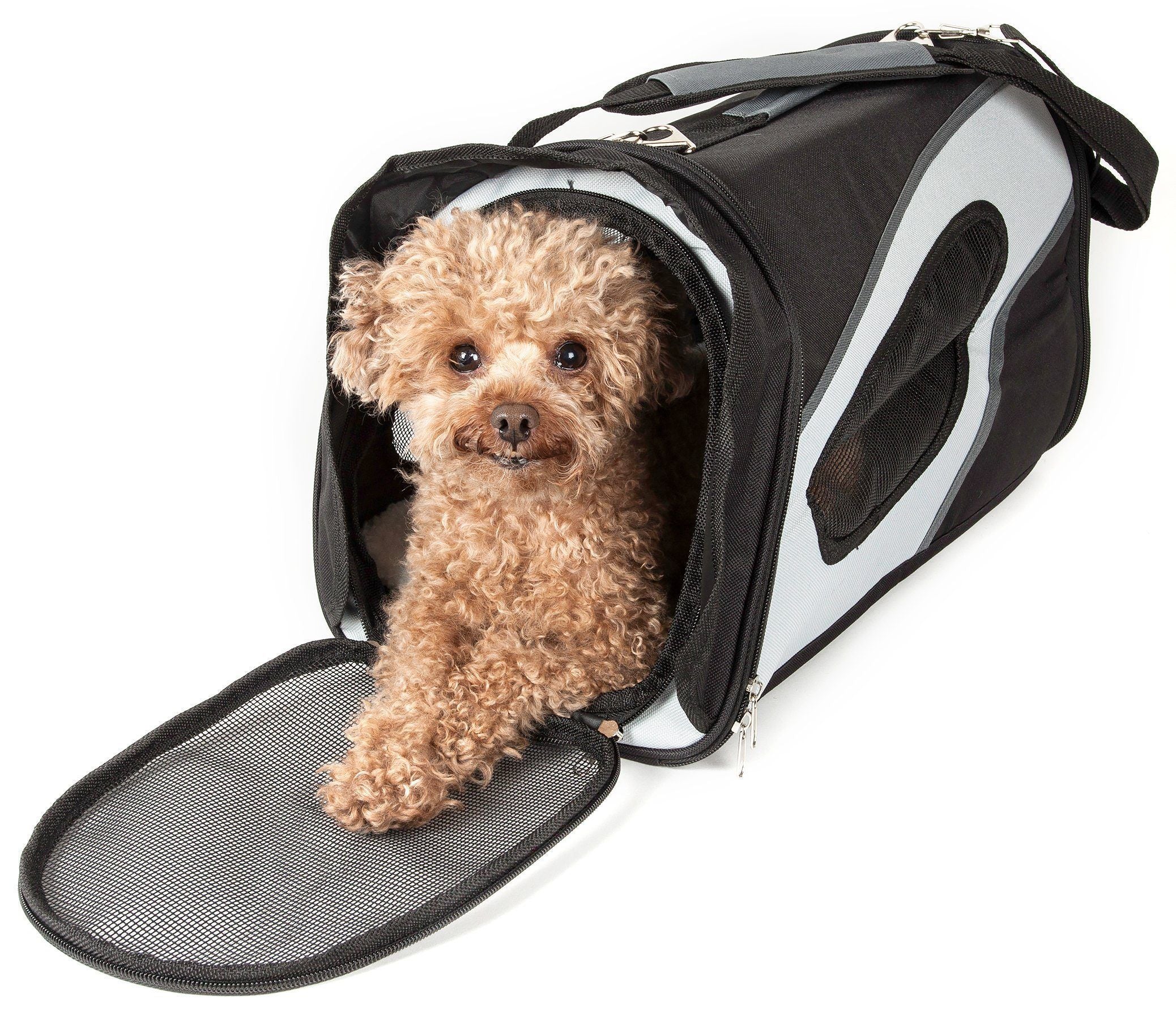 Phenom-Air Airline Approved Collapsible Fashion Designer Pet Dog Carrier