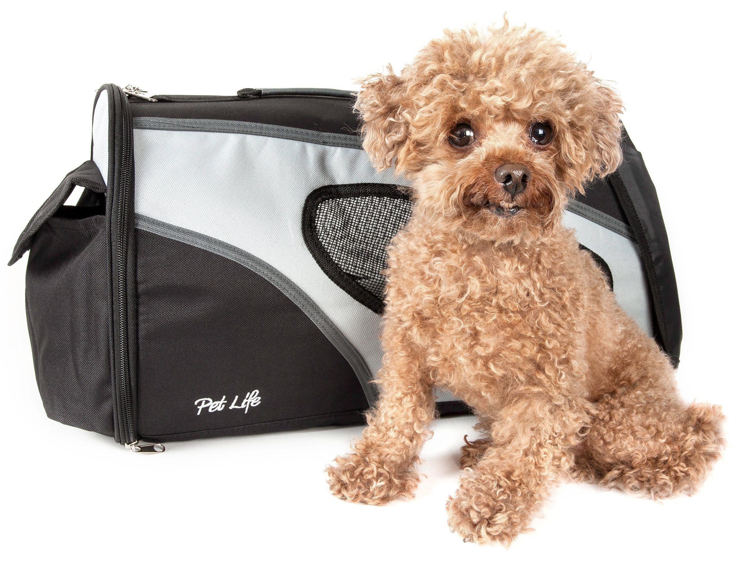 Phenom-Air Airline Approved Collapsible Fashion Designer Pet Dog Carrier