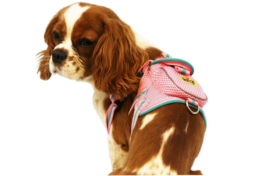 Pocket Bark Reflective Adjustable Dog Harness with Pouch and Dual Harness Rings