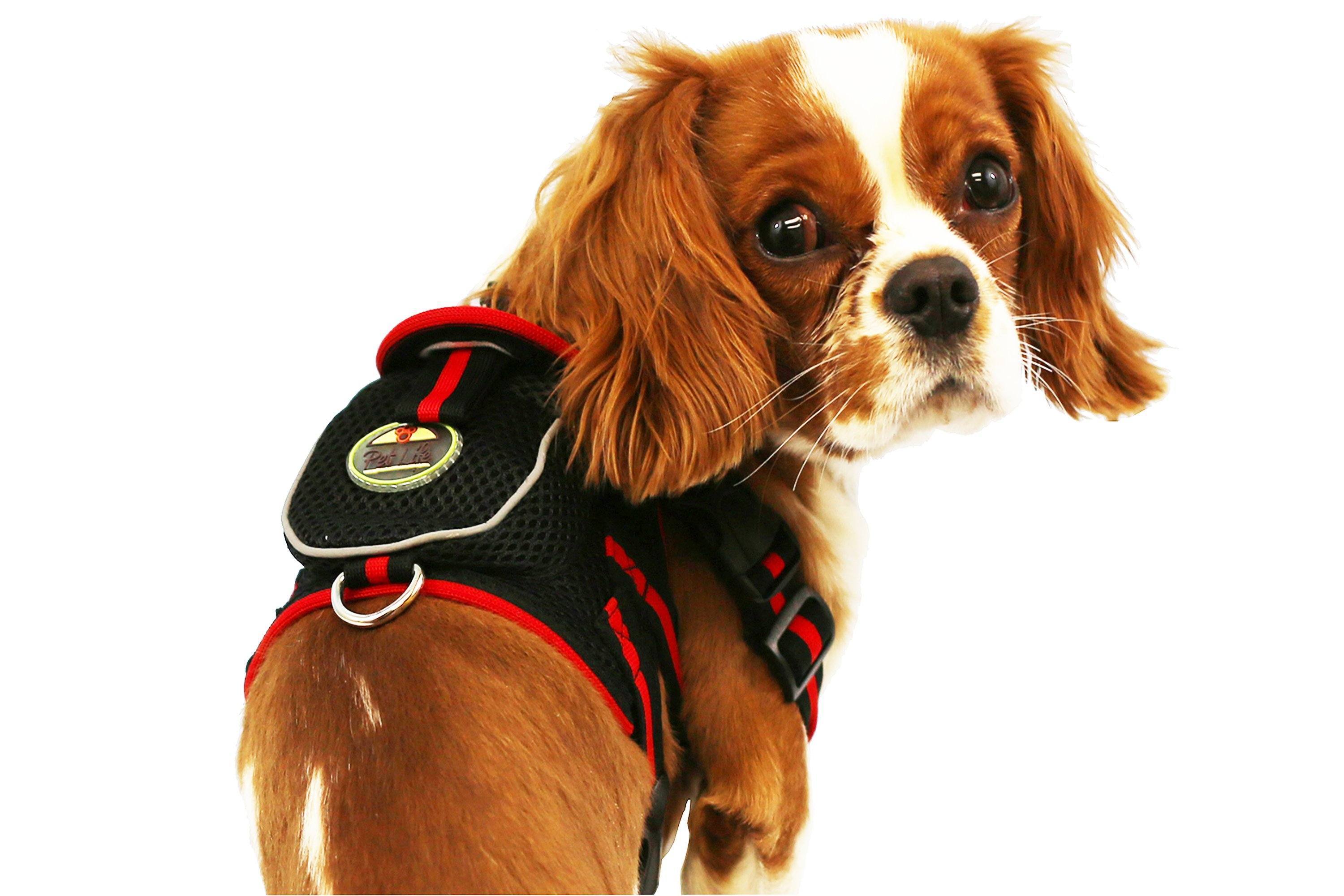 Pocket Bark Reflective Adjustable Dog Harness with Pouch and Dual Harness Rings