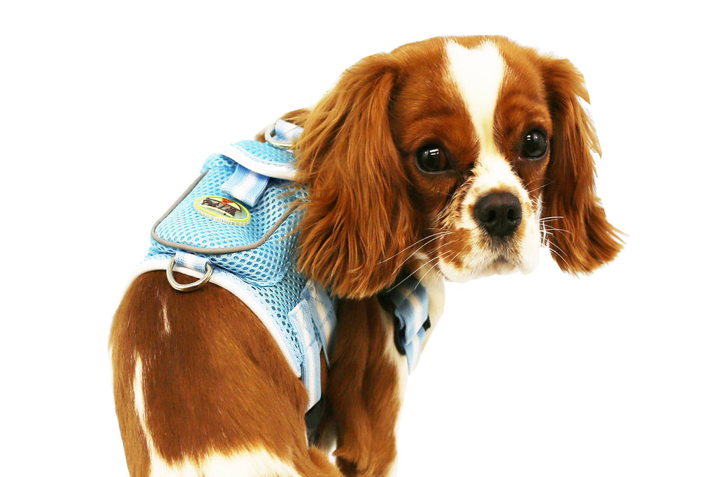 Pocket Bark Reflective Adjustable Dog Harness with Pouch and Dual Harness Rings