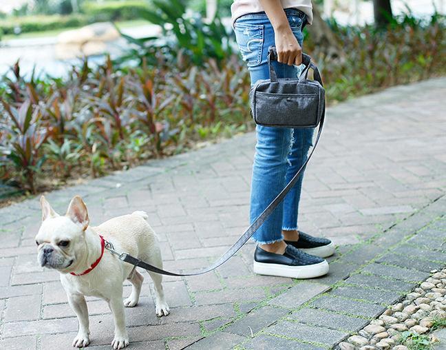 Posh Walk Purse Dog Leash, Accessory Holder and Waste Bag Dispenser