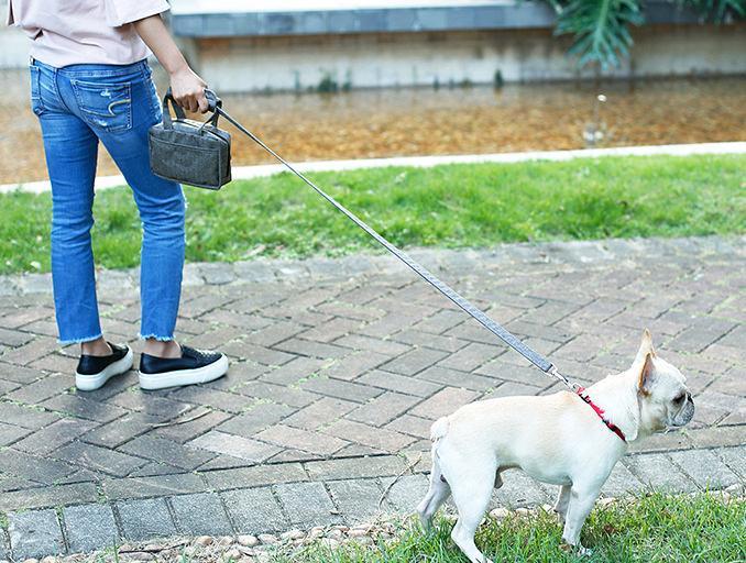 Posh Walk Purse Dog Leash, Accessory Holder and Waste Bag Dispenser
