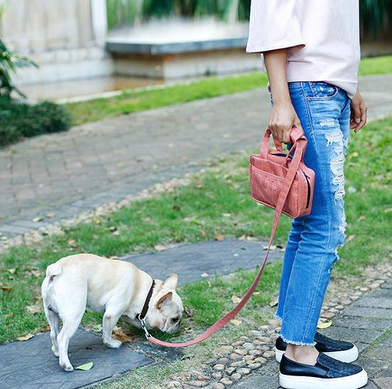 Posh Walk Purse Dog Leash, Accessory Holder and Waste Bag Dispenser