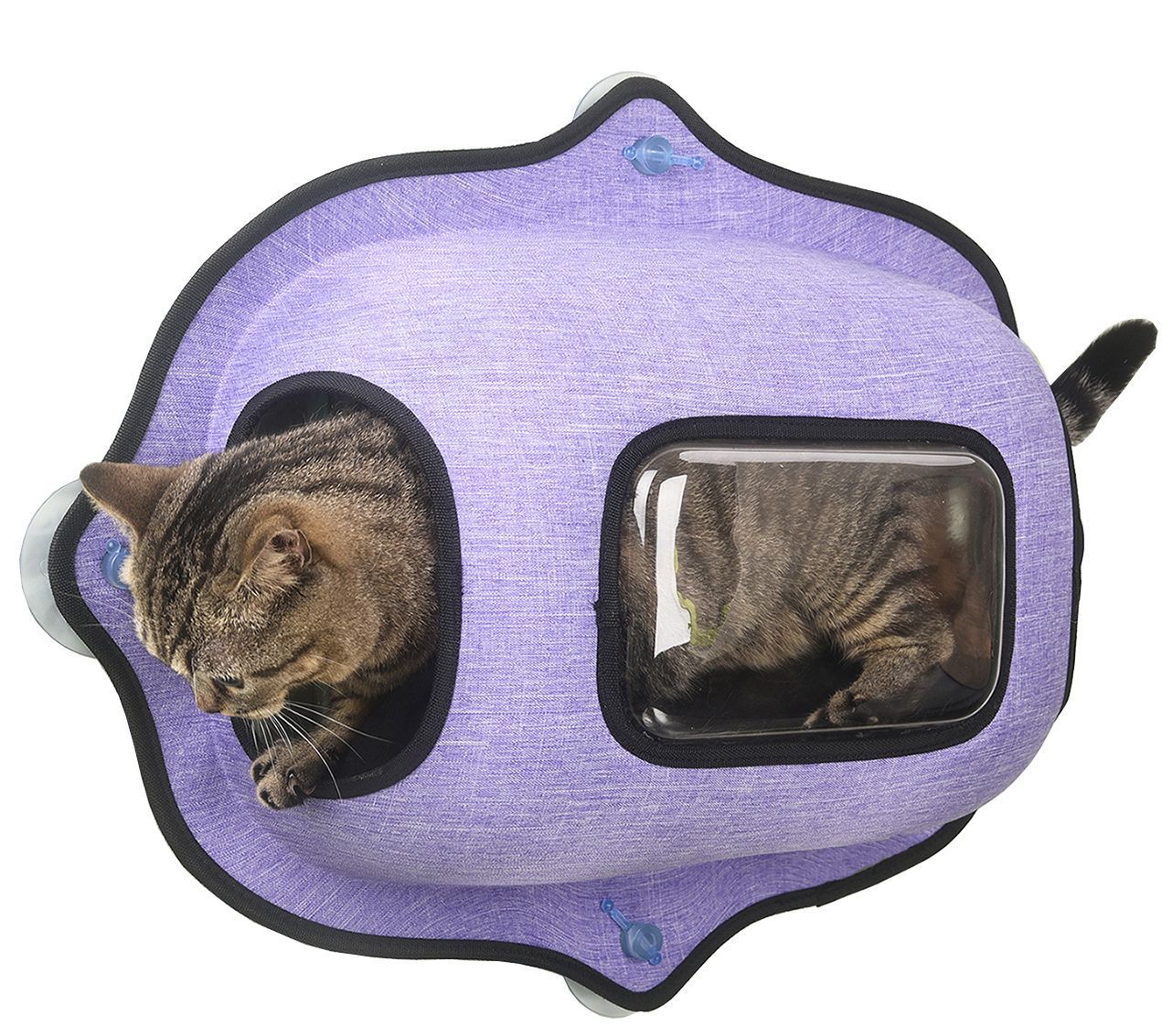 Purr-View Suction Cup Kitty Cat Lounger Bed – Multiple Colors