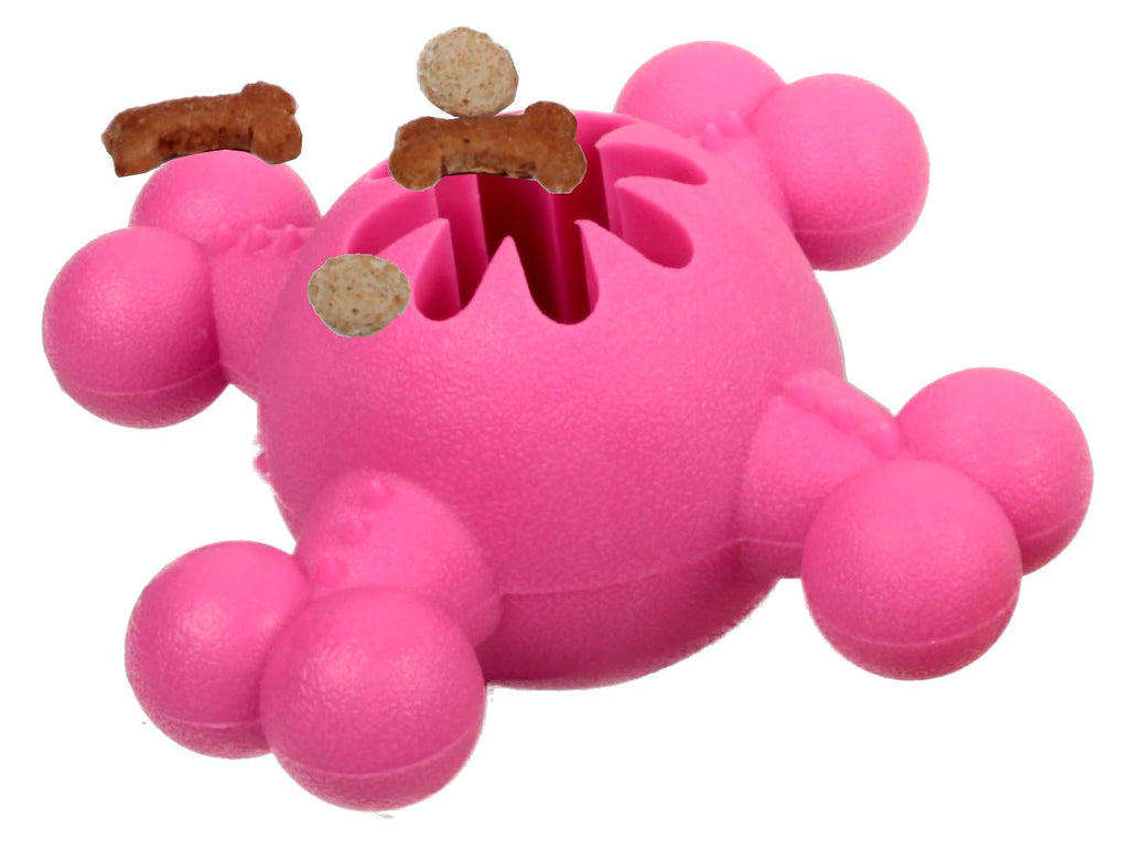 Quadra-Bone TPR Treat Dispensing Durable Dog Toy
