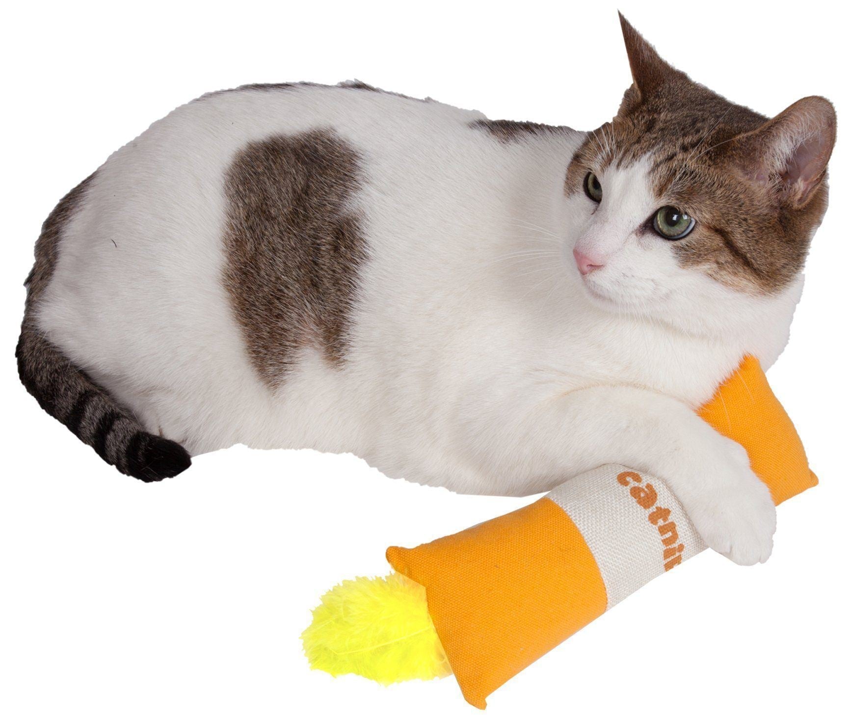 Duffle Feathered Squeak and Crinkle Teaser Plush Cat Toy