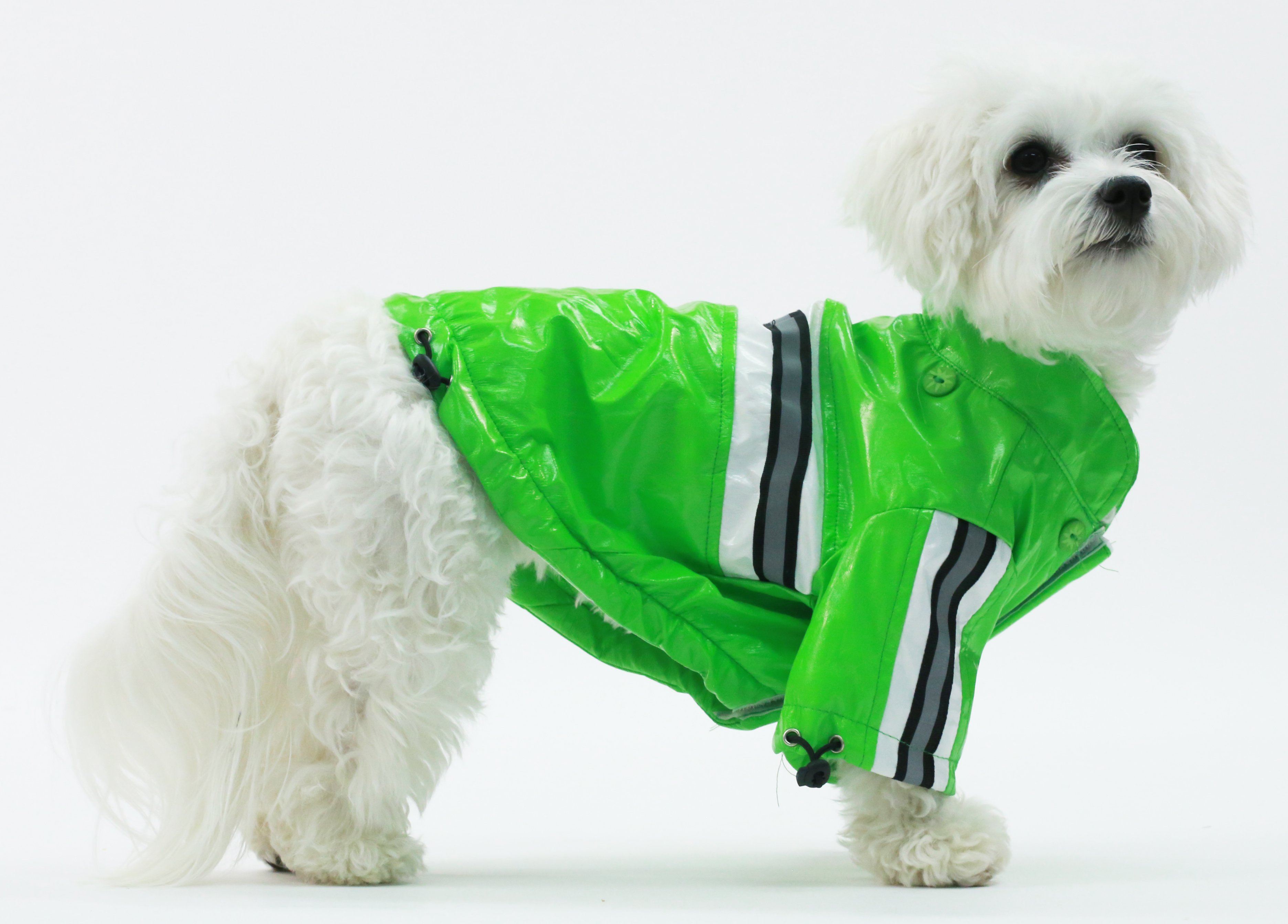 Reflecta-Glow Reflective Waterproof Adjustable Dog Raincoat with Removable Hood