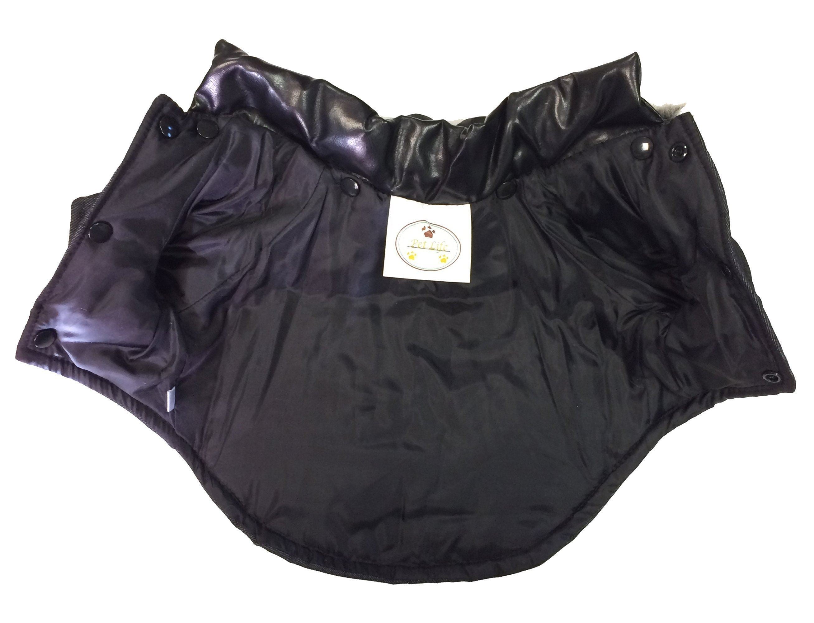 Ruff-Choppered Denim Fashion Wool Dog Coat Jacket