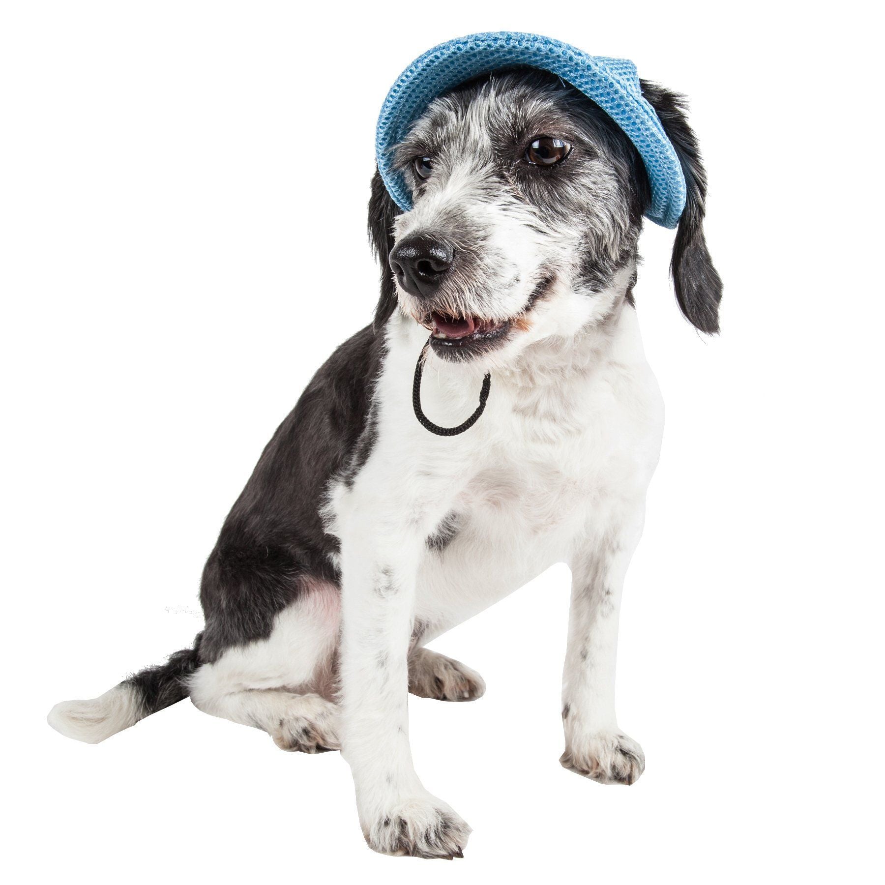 Sea Spot Sun UV Protectant Adjustable Mesh Brimmed Dog Hat Cap – Multiple Colors