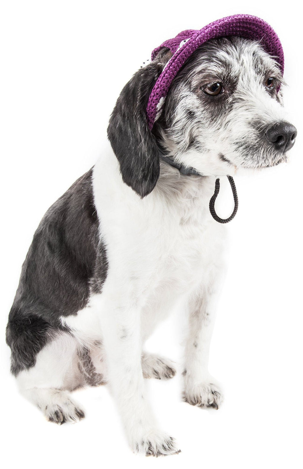 Sea Spot Sun UV Protectant Adjustable Mesh Brimmed Dog Hat Cap – Multiple Colors