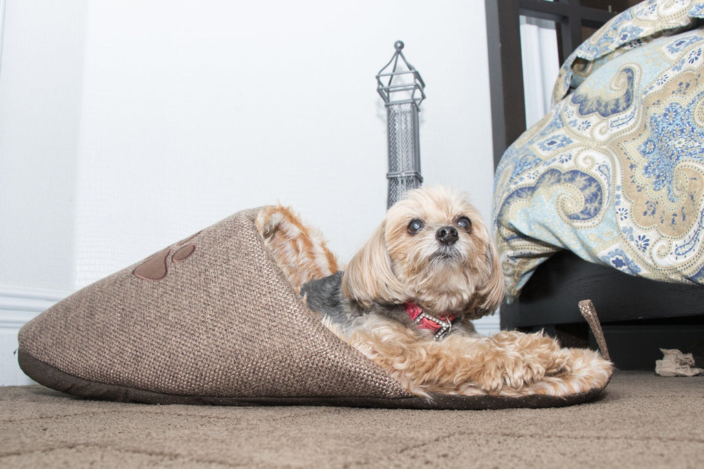 Slip-On Fashion Designer Polar Fleece Animated Slipper Pet Dog Bed