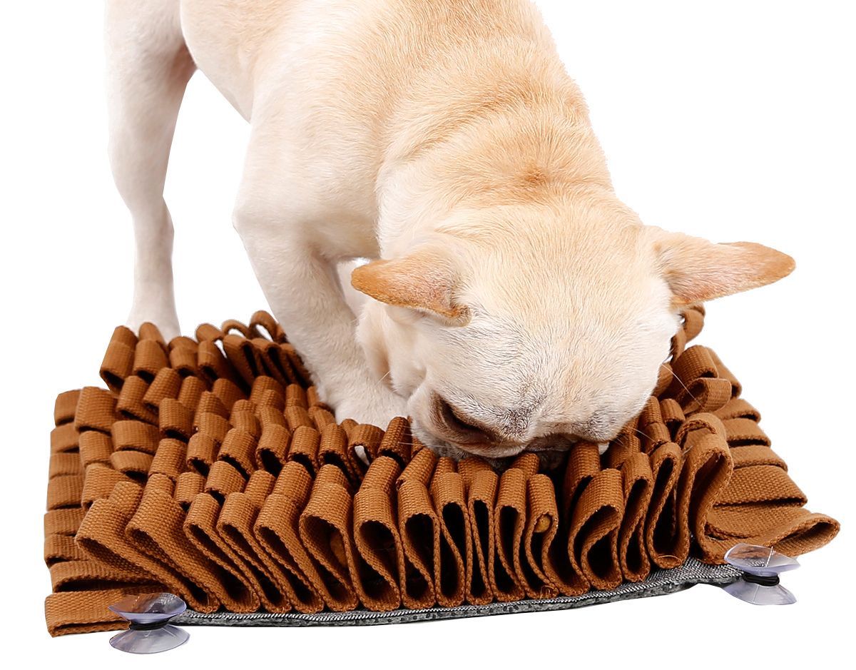 Sniffer Grip Interactive Anti-Skid Suction Pet Snuffle Mat