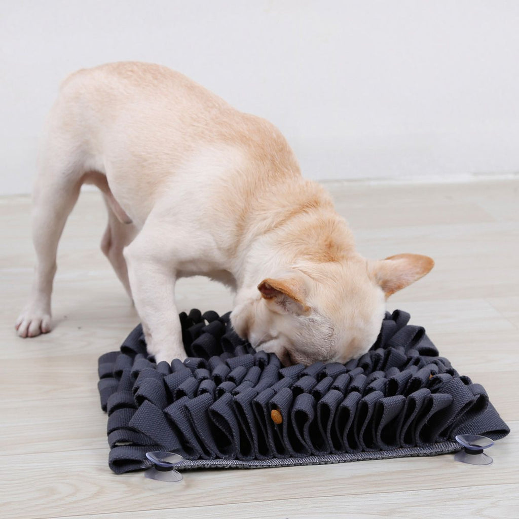 Sniffer Grip Interactive Anti-Skid Suction Pet Snuffle Mat