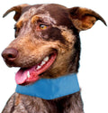 Summer-Cooling Ice Insertable Adjustable Cooling Dog Neck Wrap