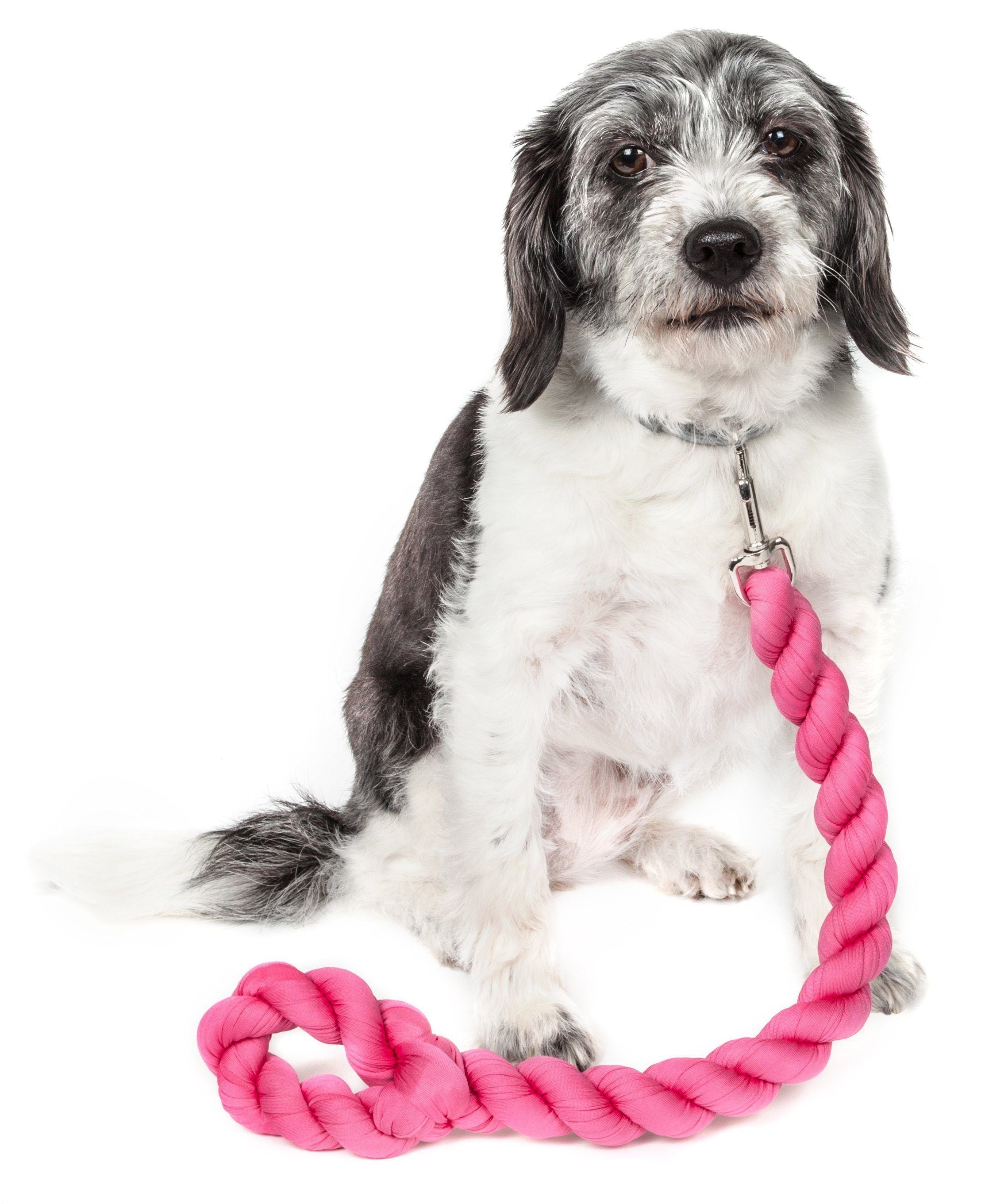 Tough-Tugger Industrial-Strength Shock Absorption Woven Dog Leash