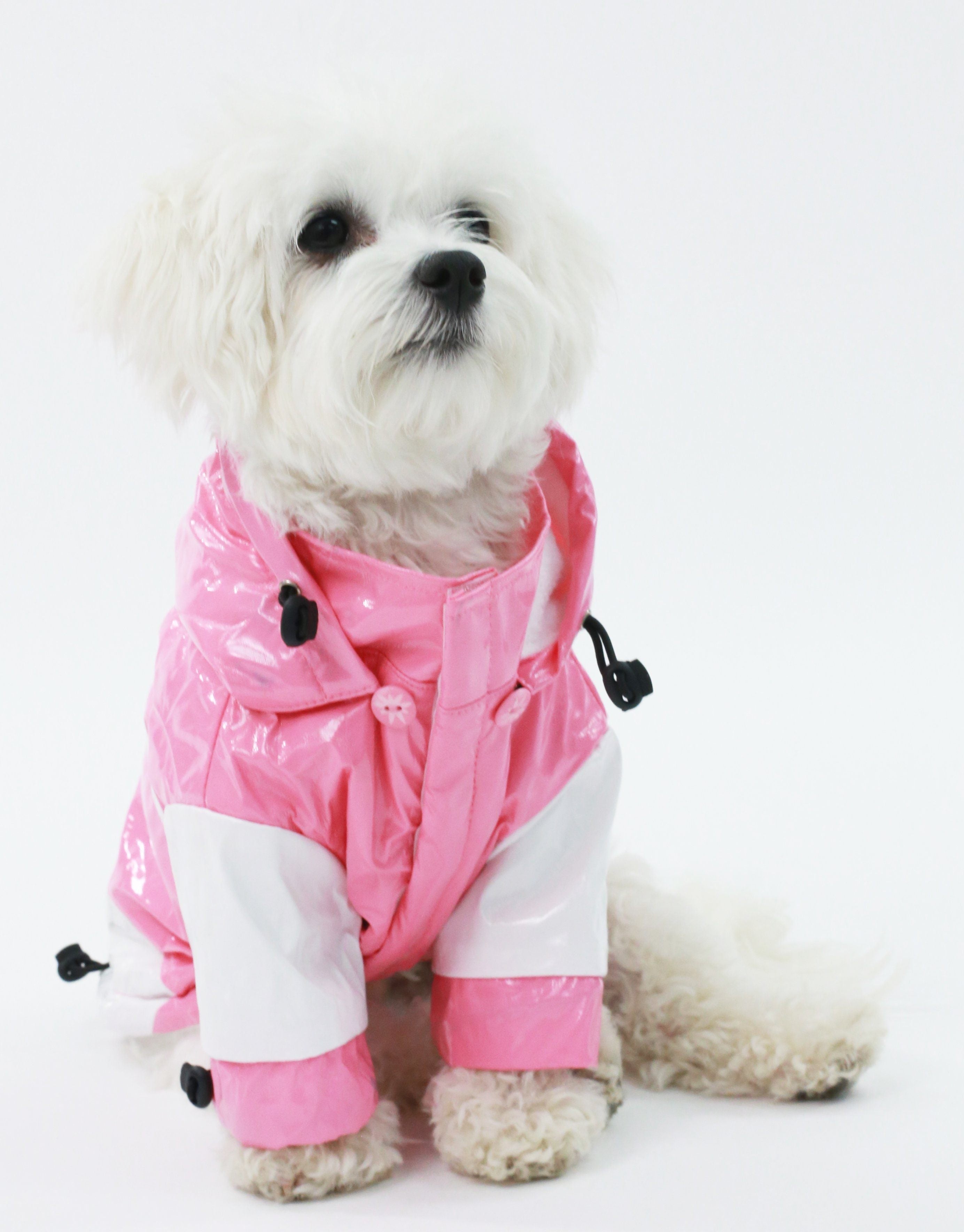 Two-Tone Waterproof Adjustable Dog Raincoat with Removable Hood