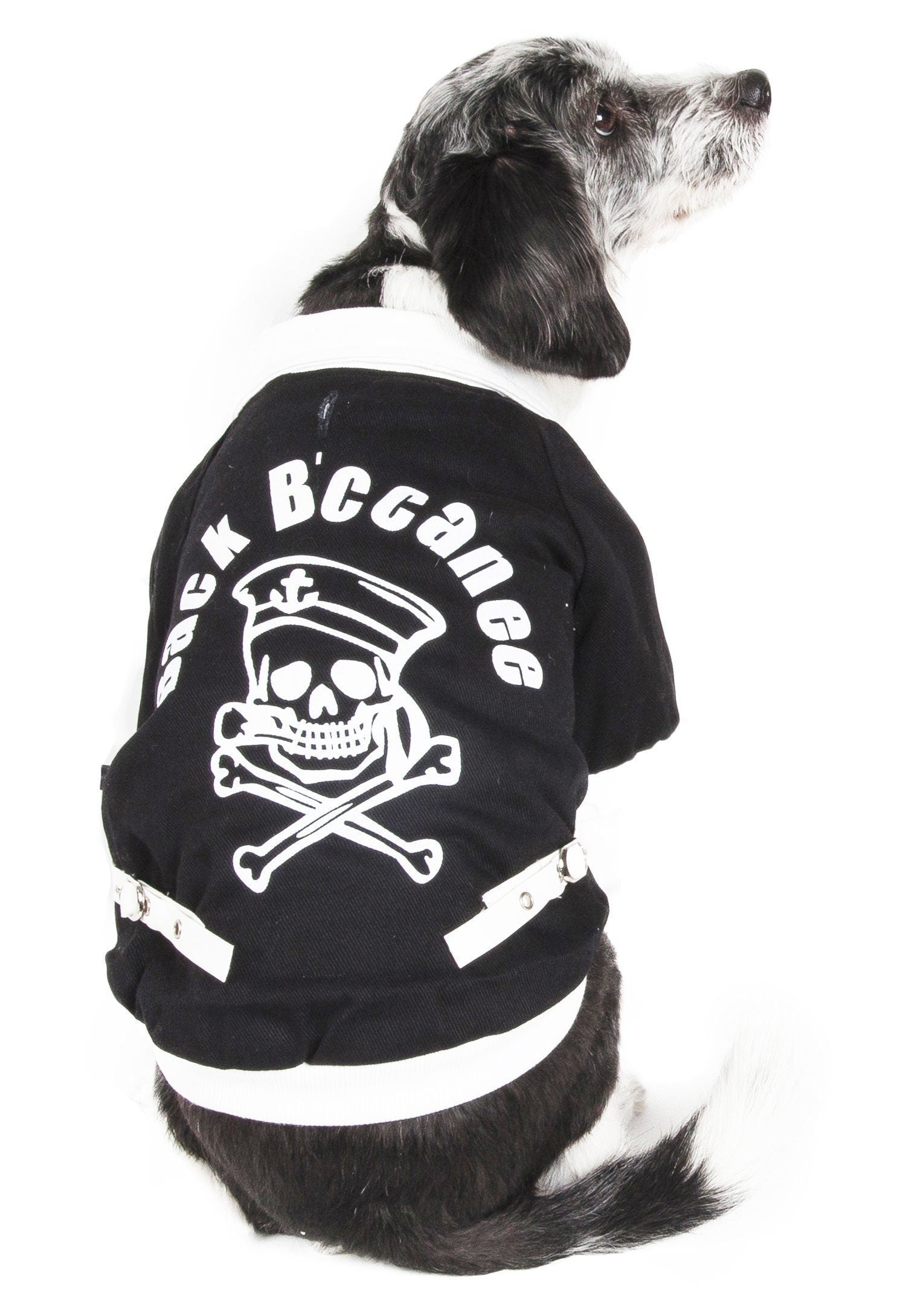Varsity-Barkcity Buckled Collared Dog Coat Jacket