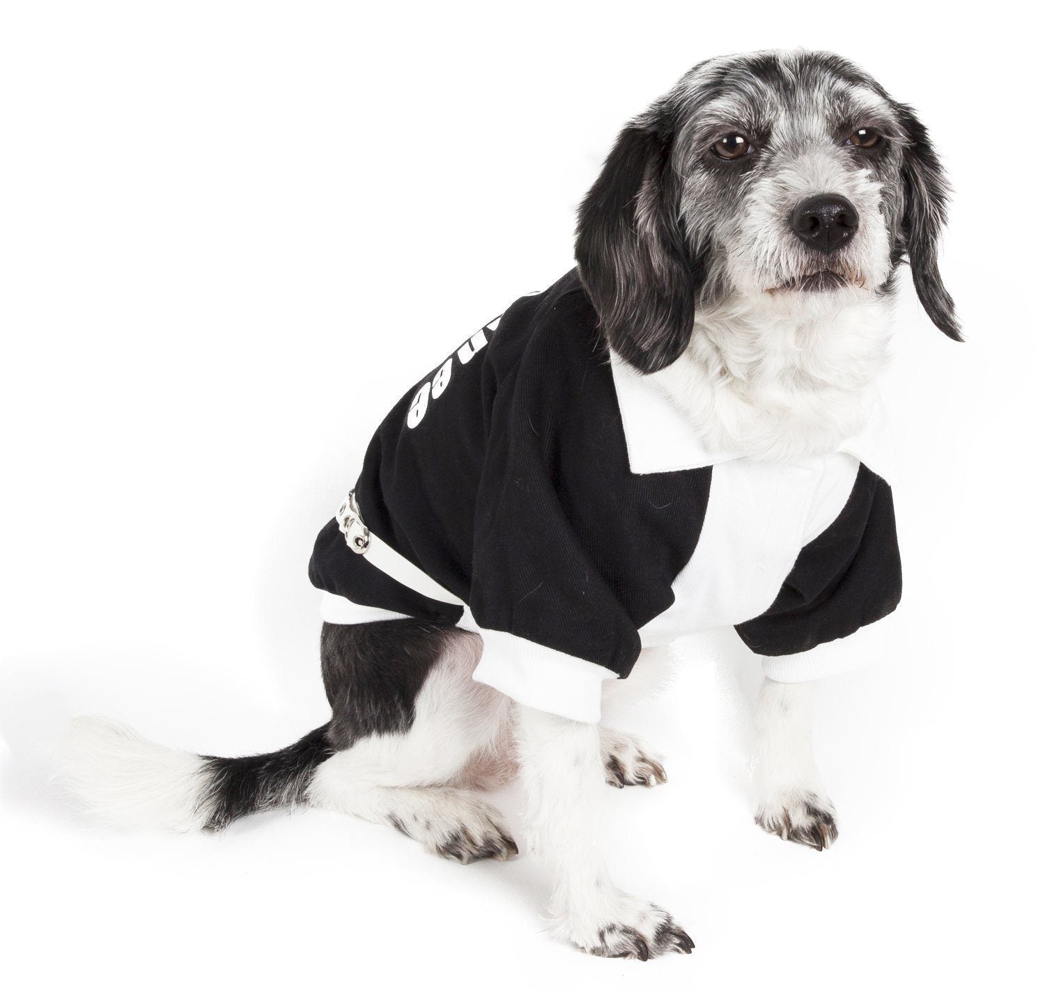 Varsity-Barkcity Buckled Collared Dog Coat Jacket