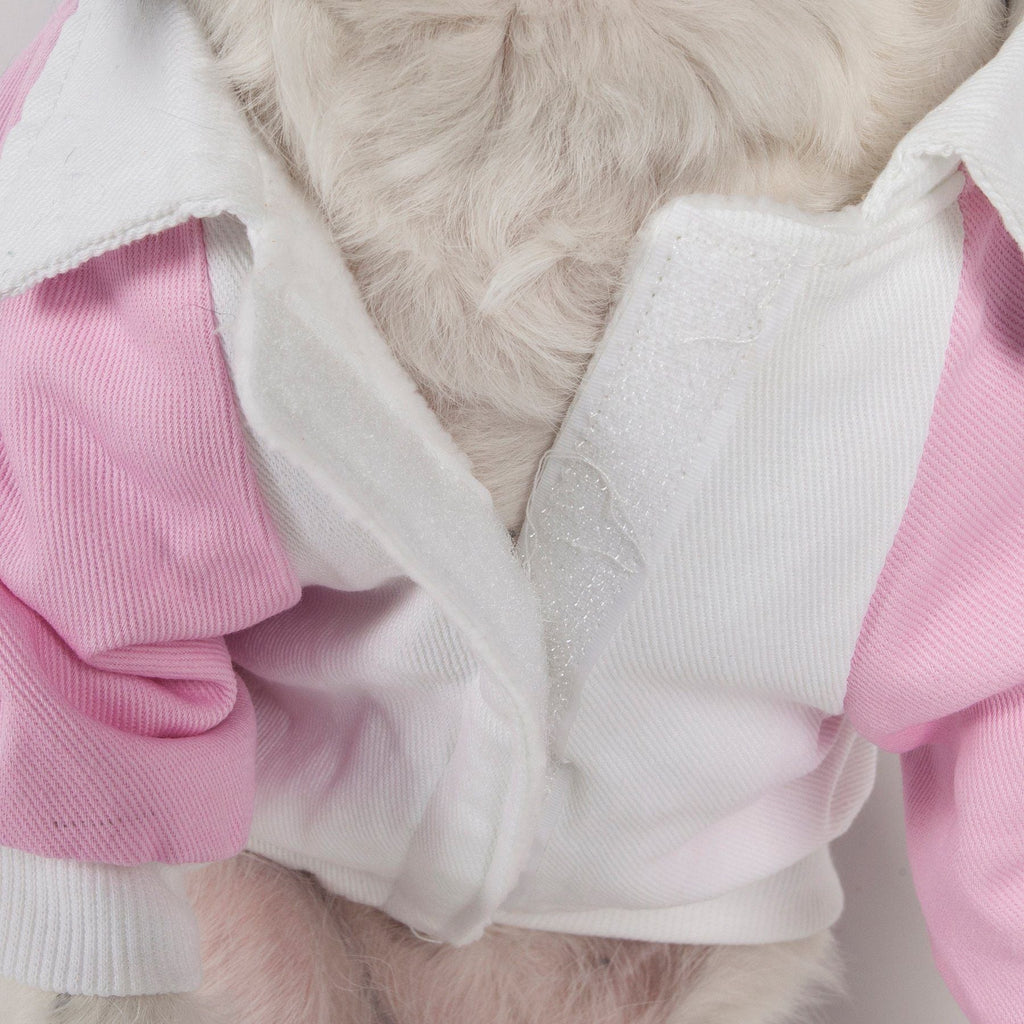 Varsity-Barkcity Buckled Collared Dog Coat Jacket
