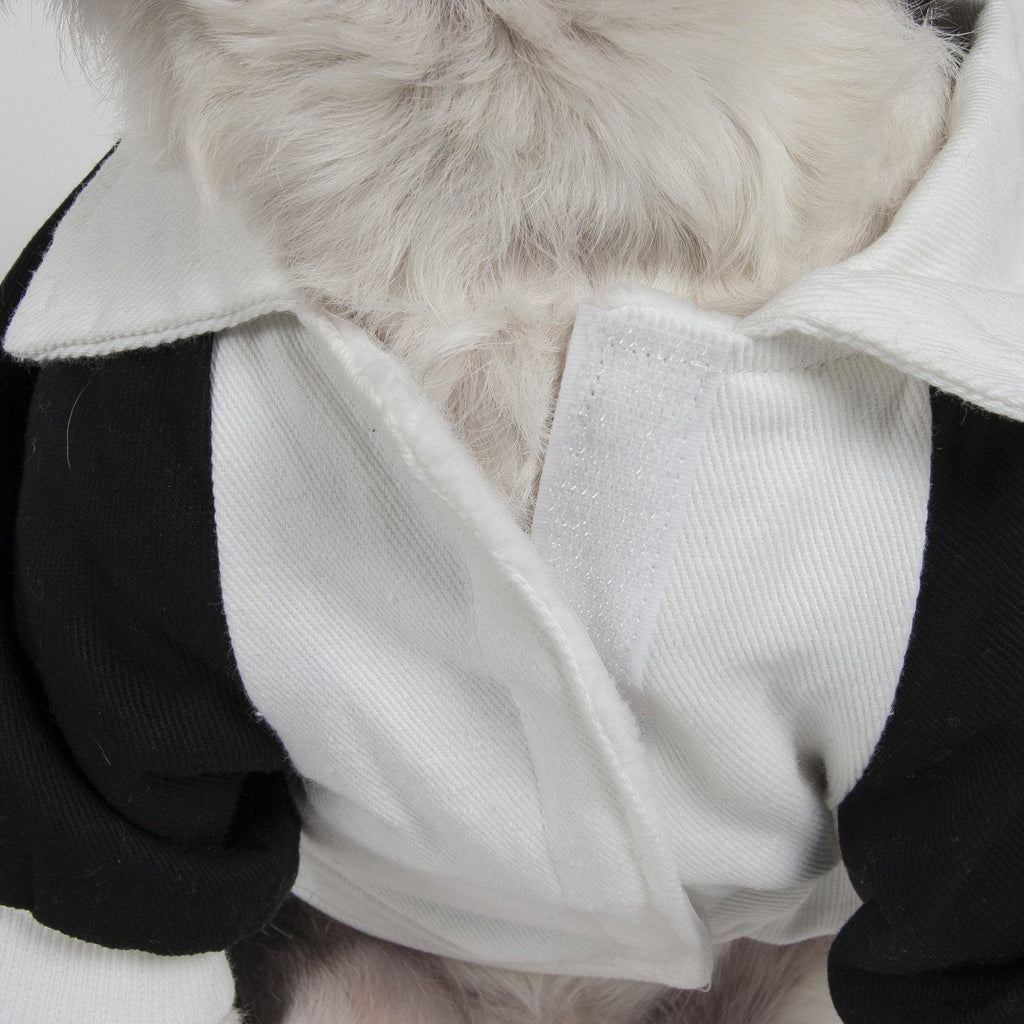 Varsity-Barkcity Buckled Collared Dog Coat Jacket